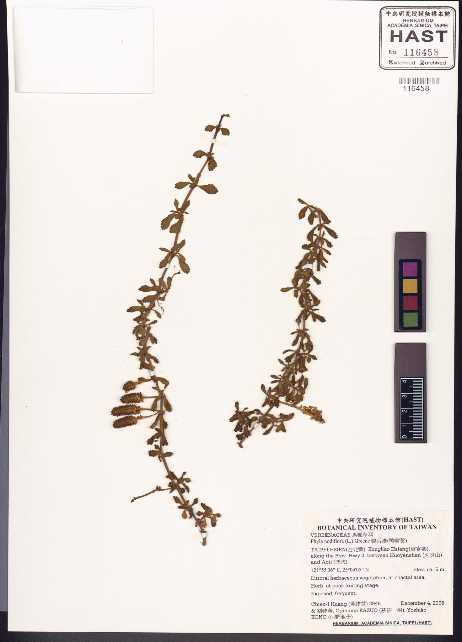 Sample image for viewer