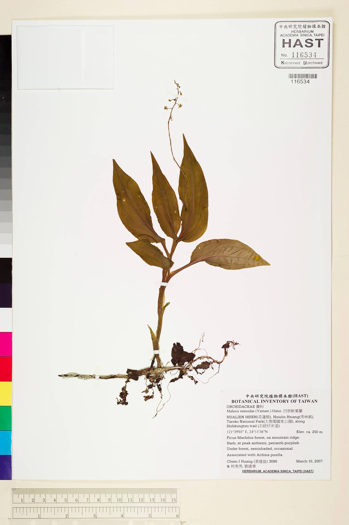 Sample image for viewer