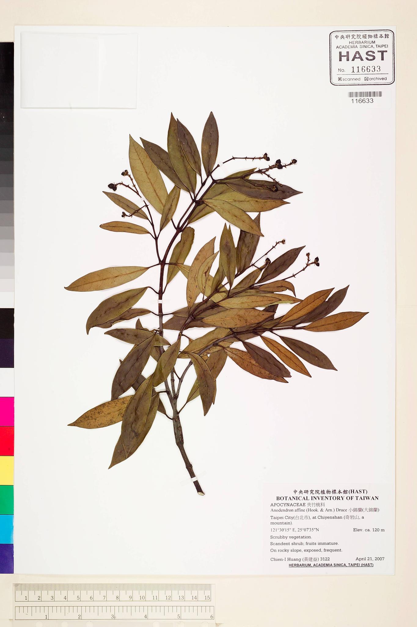 Sample image for viewer