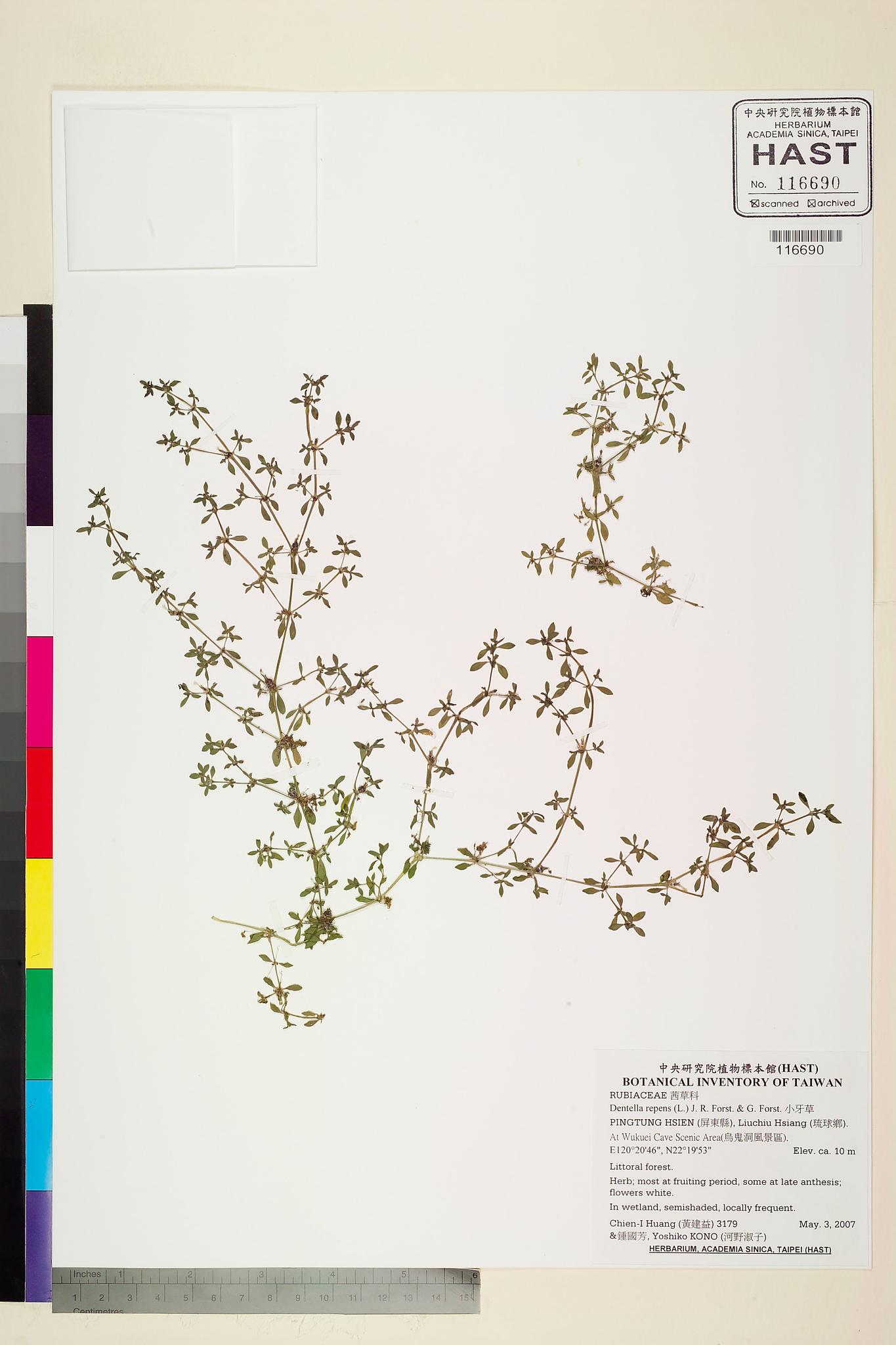 Sample image for viewer