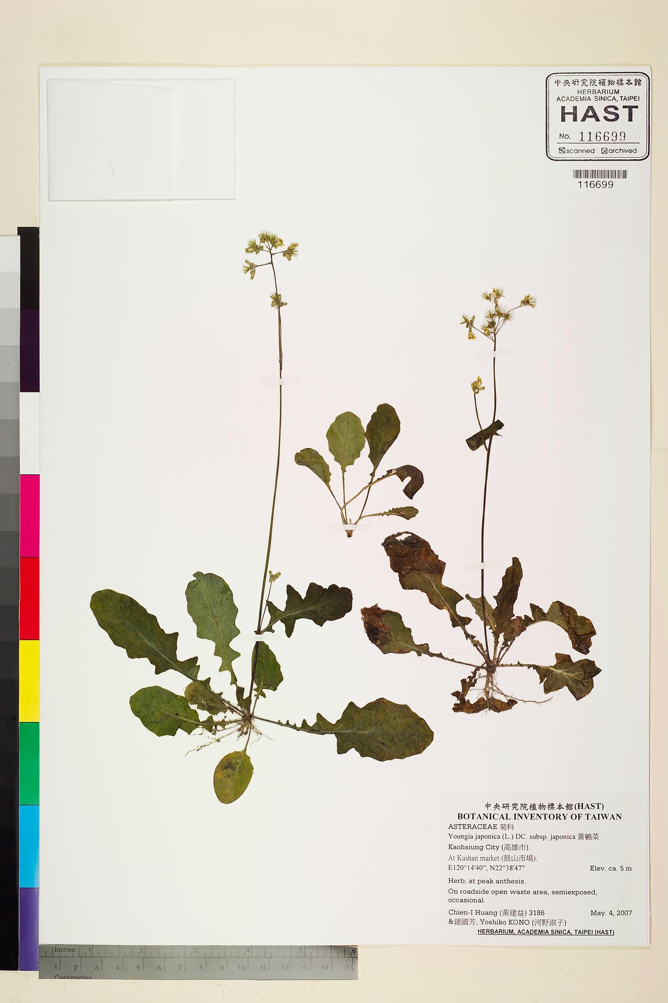 Sample image for viewer