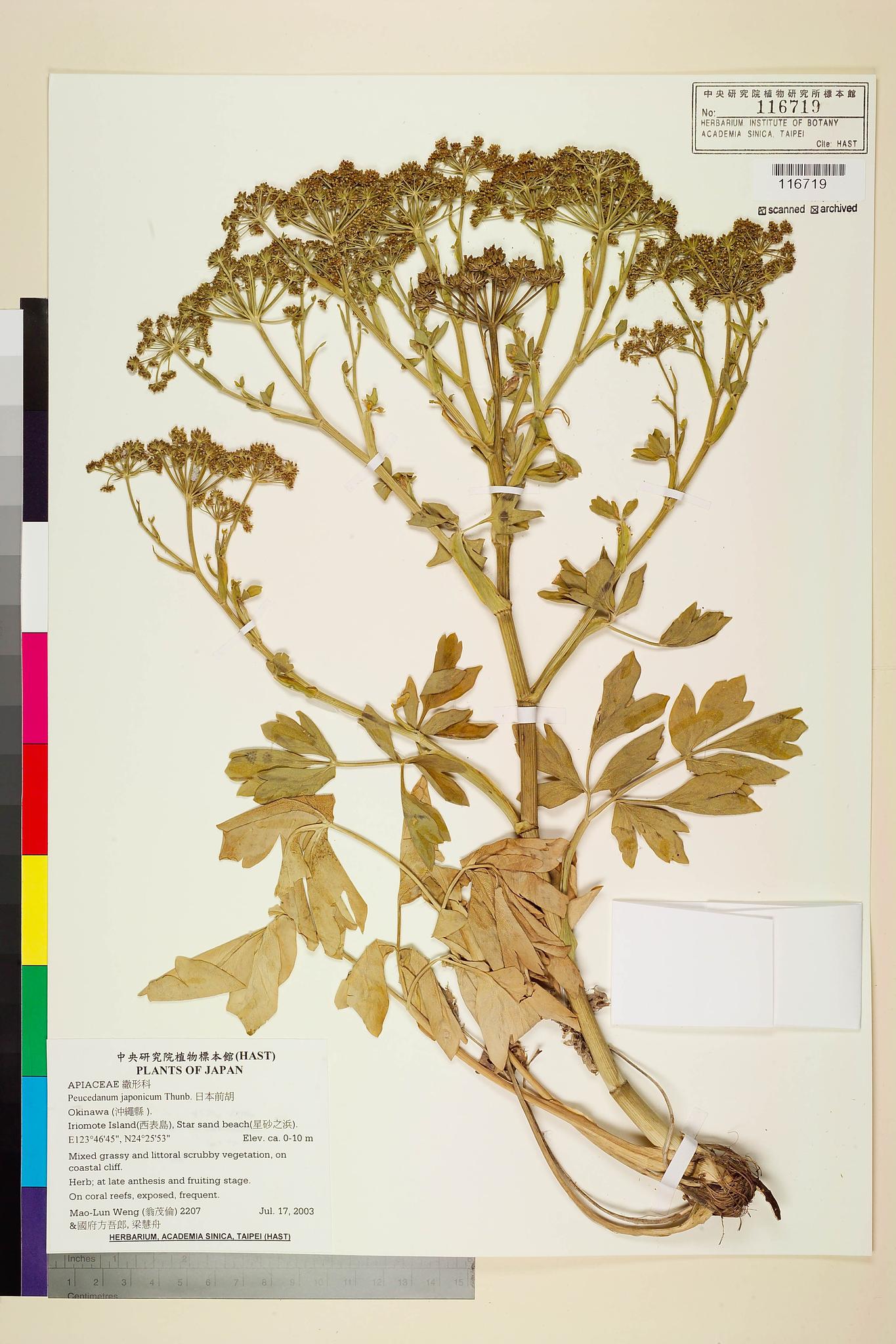 Sample image for viewer