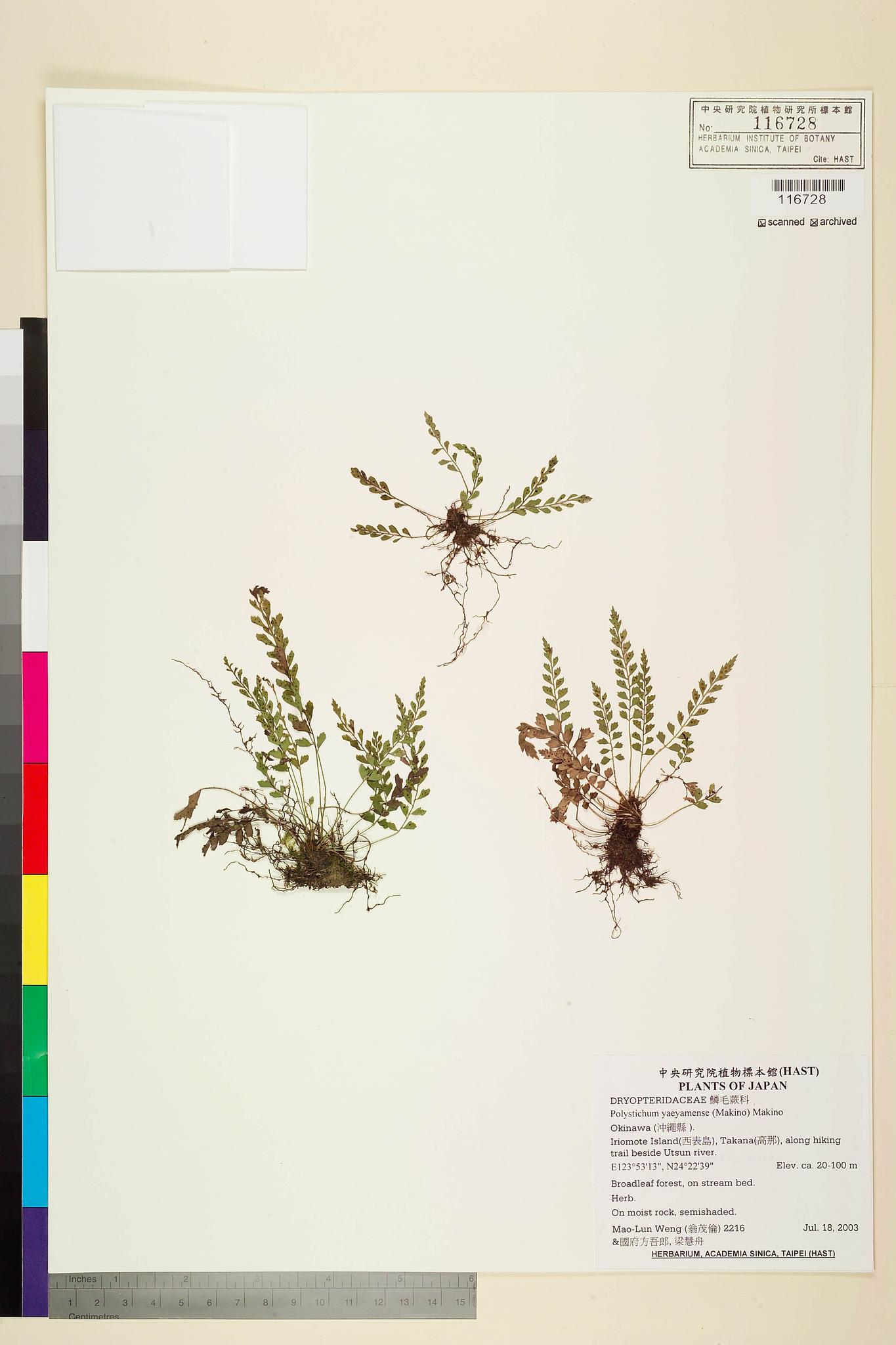 Sample image for viewer