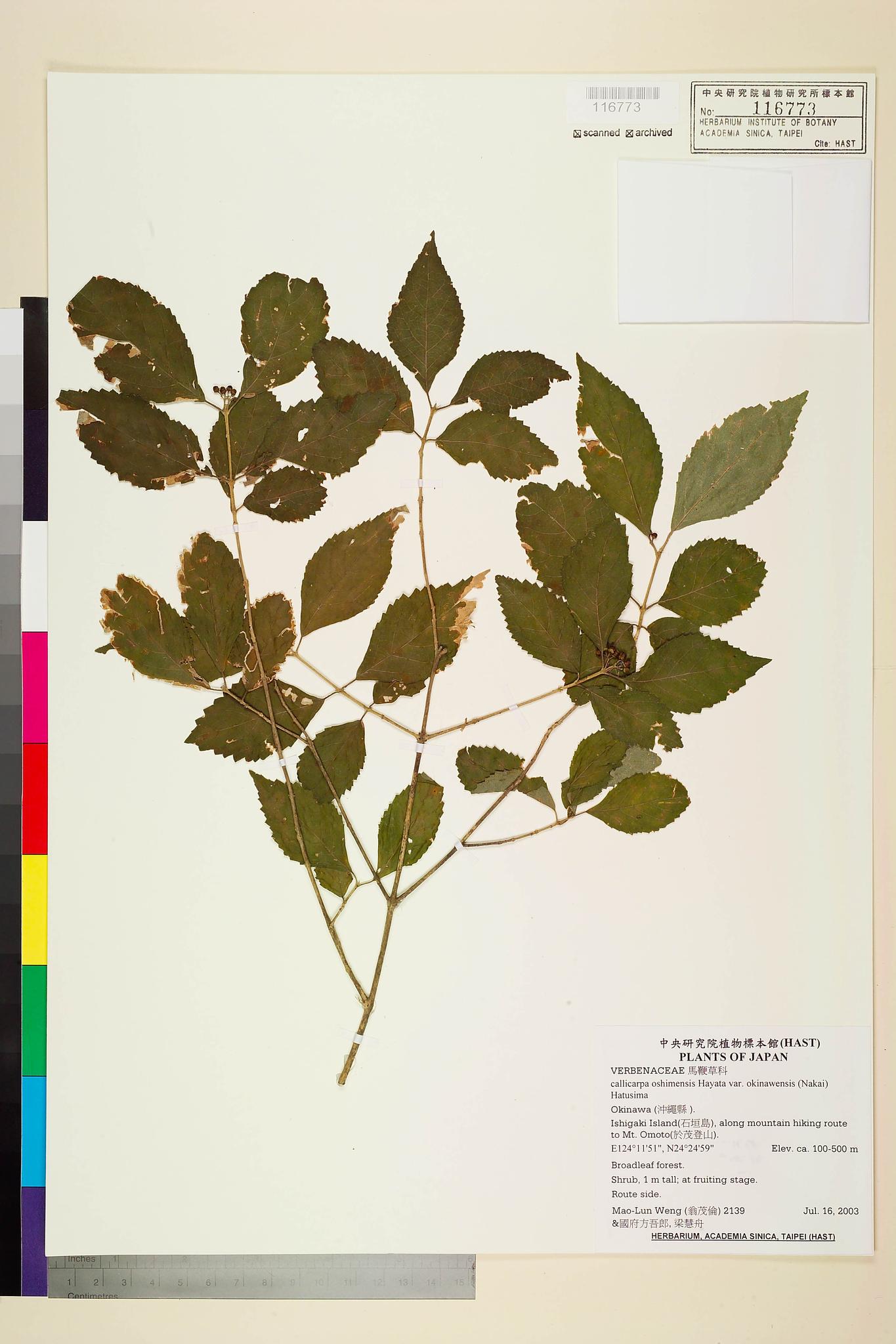 Sample image for viewer