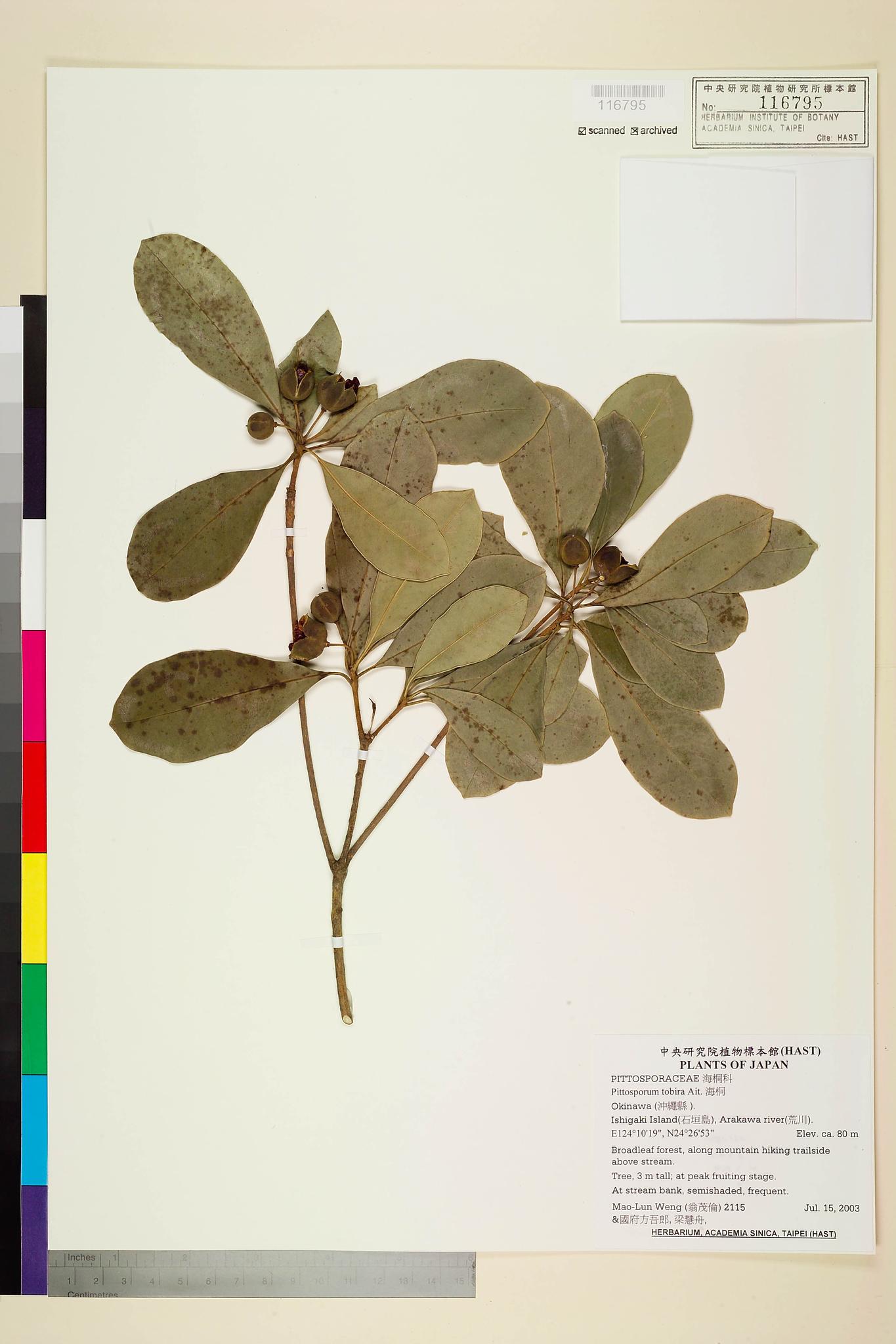 Sample image for viewer