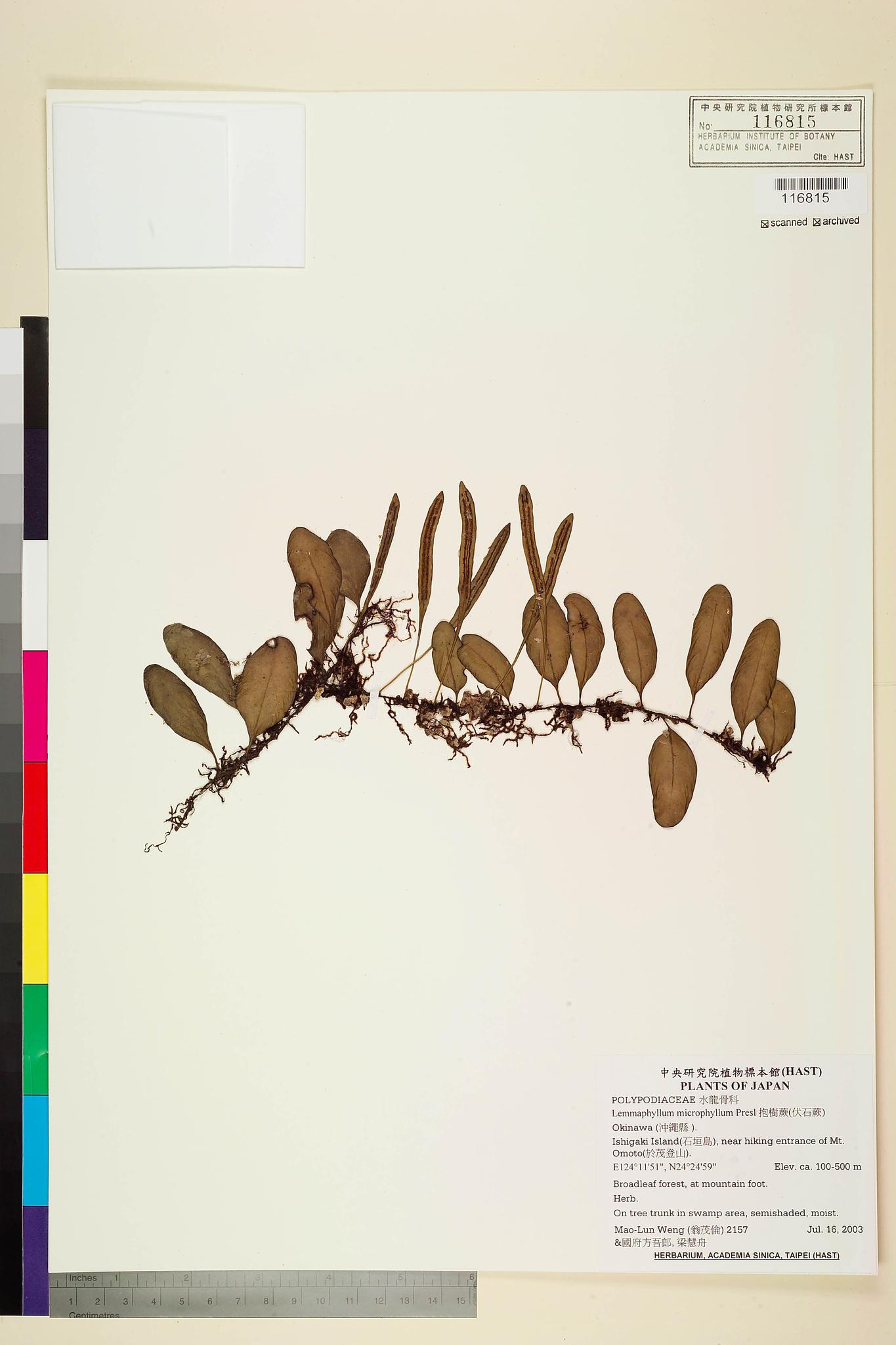 Specimen image