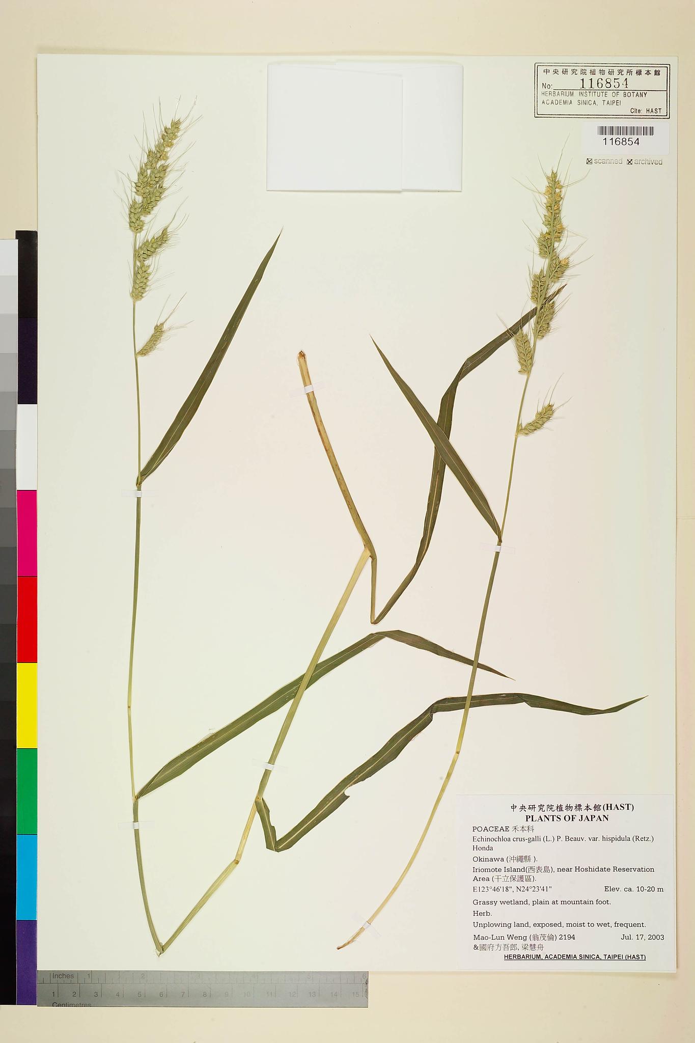 Sample image for viewer