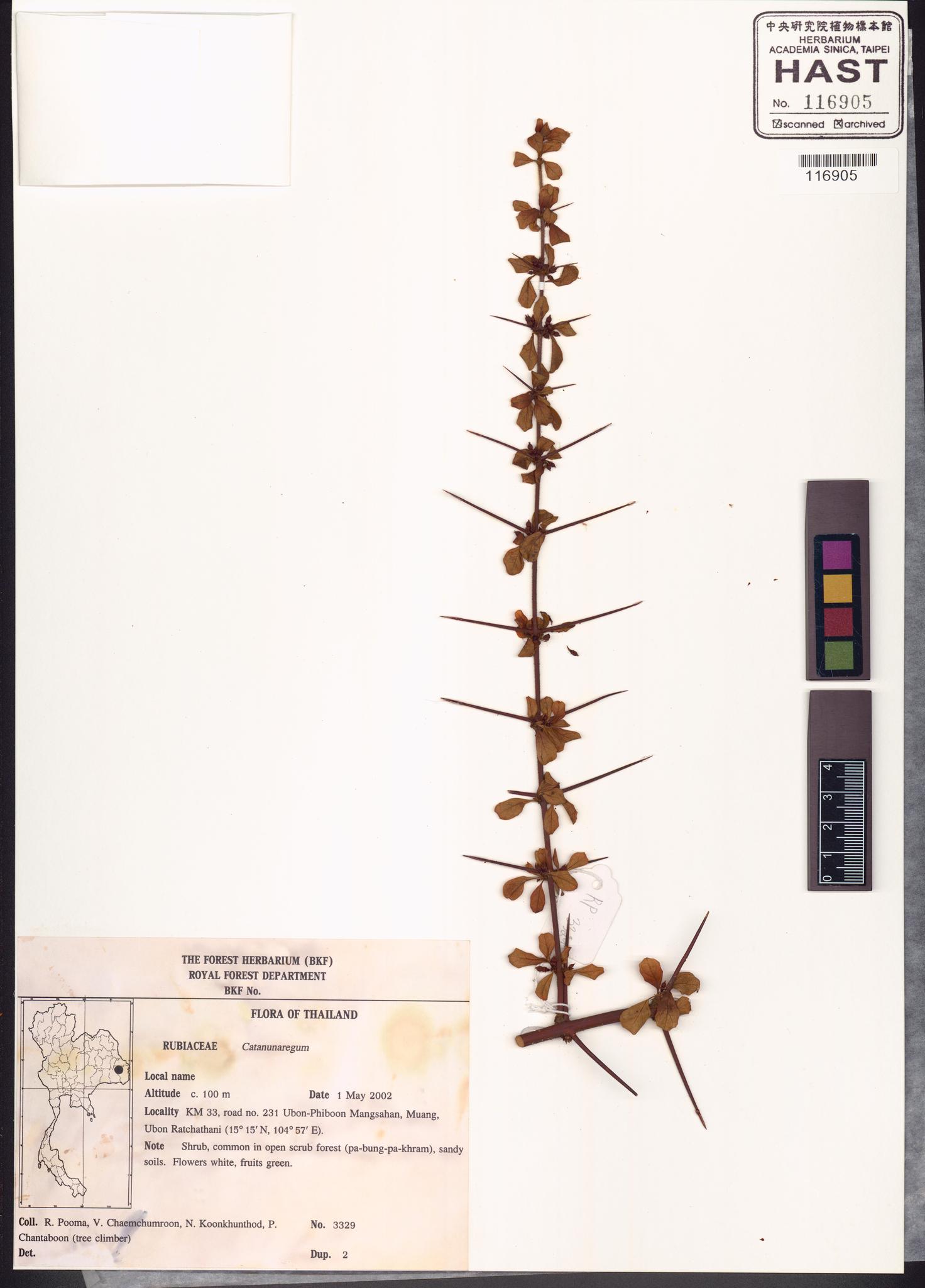 Sample image for viewer