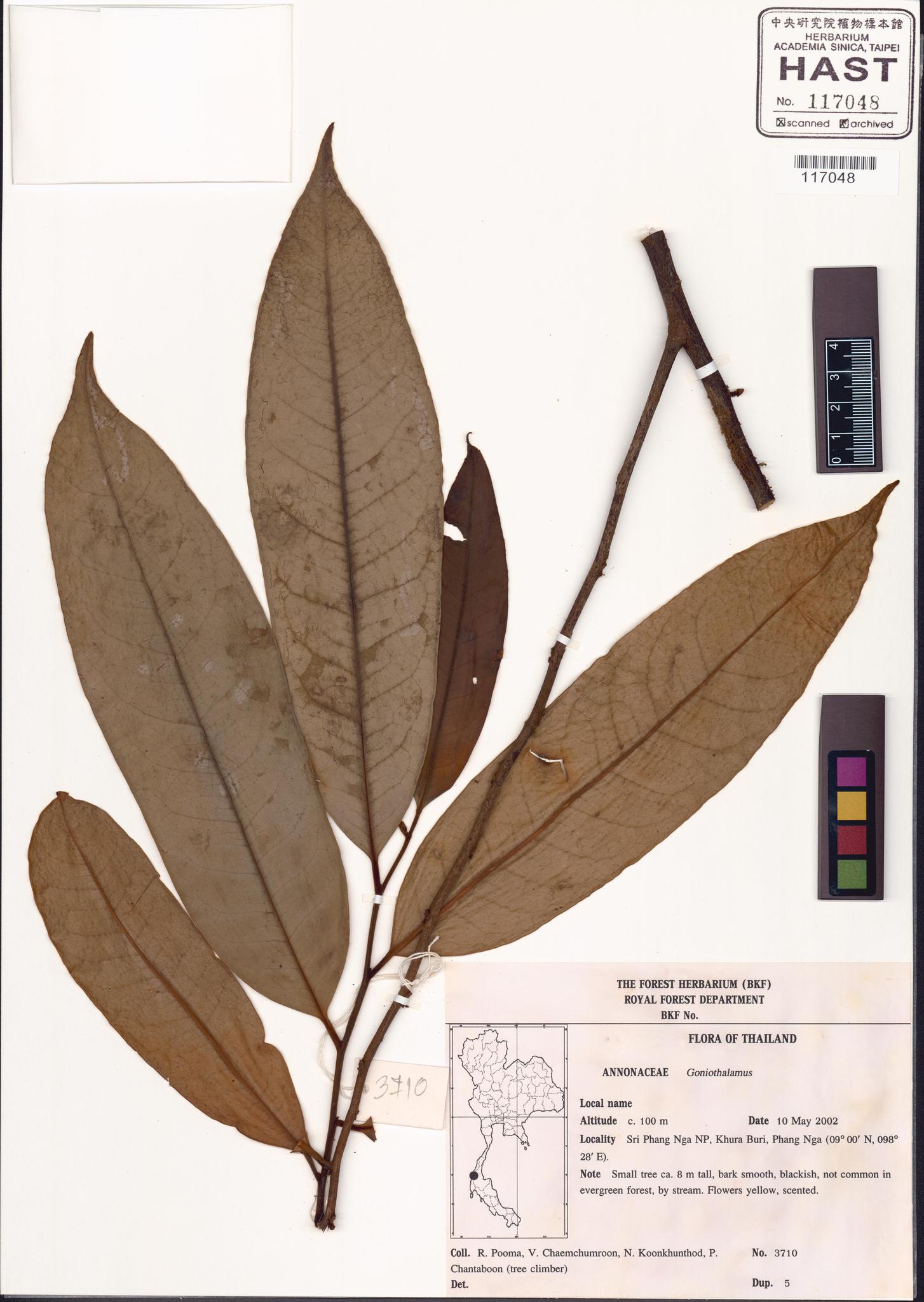 Sample image for viewer