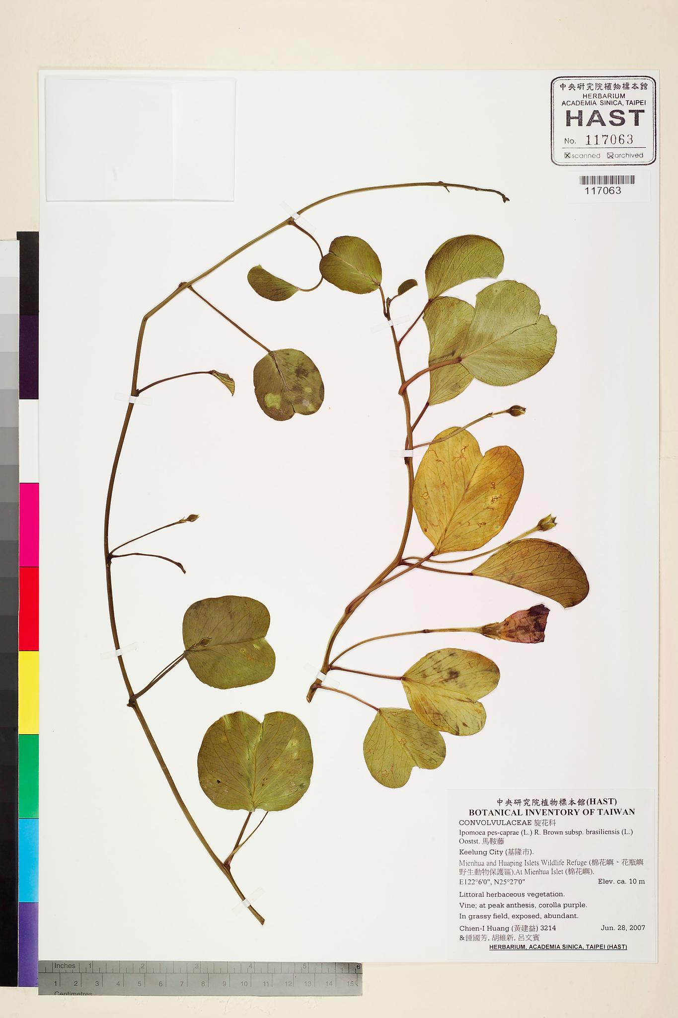 Sample image for viewer