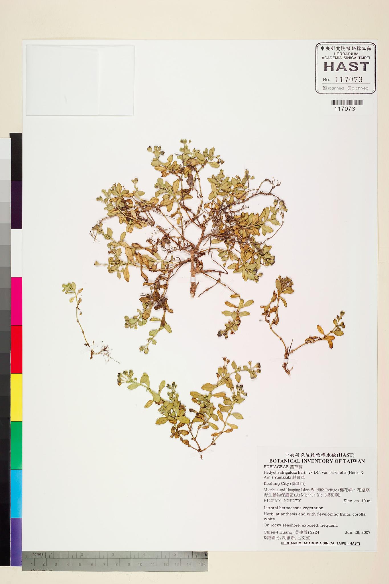 Sample image for viewer