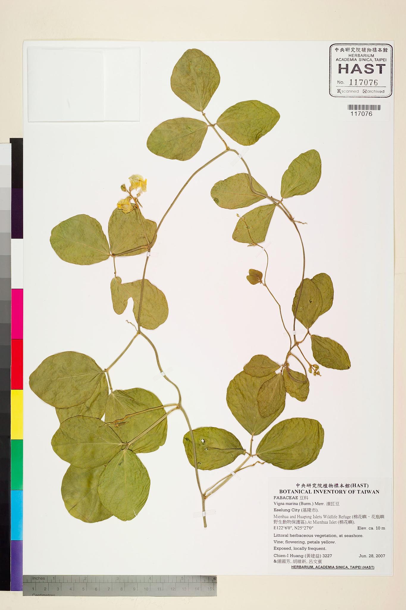 Sample image for viewer