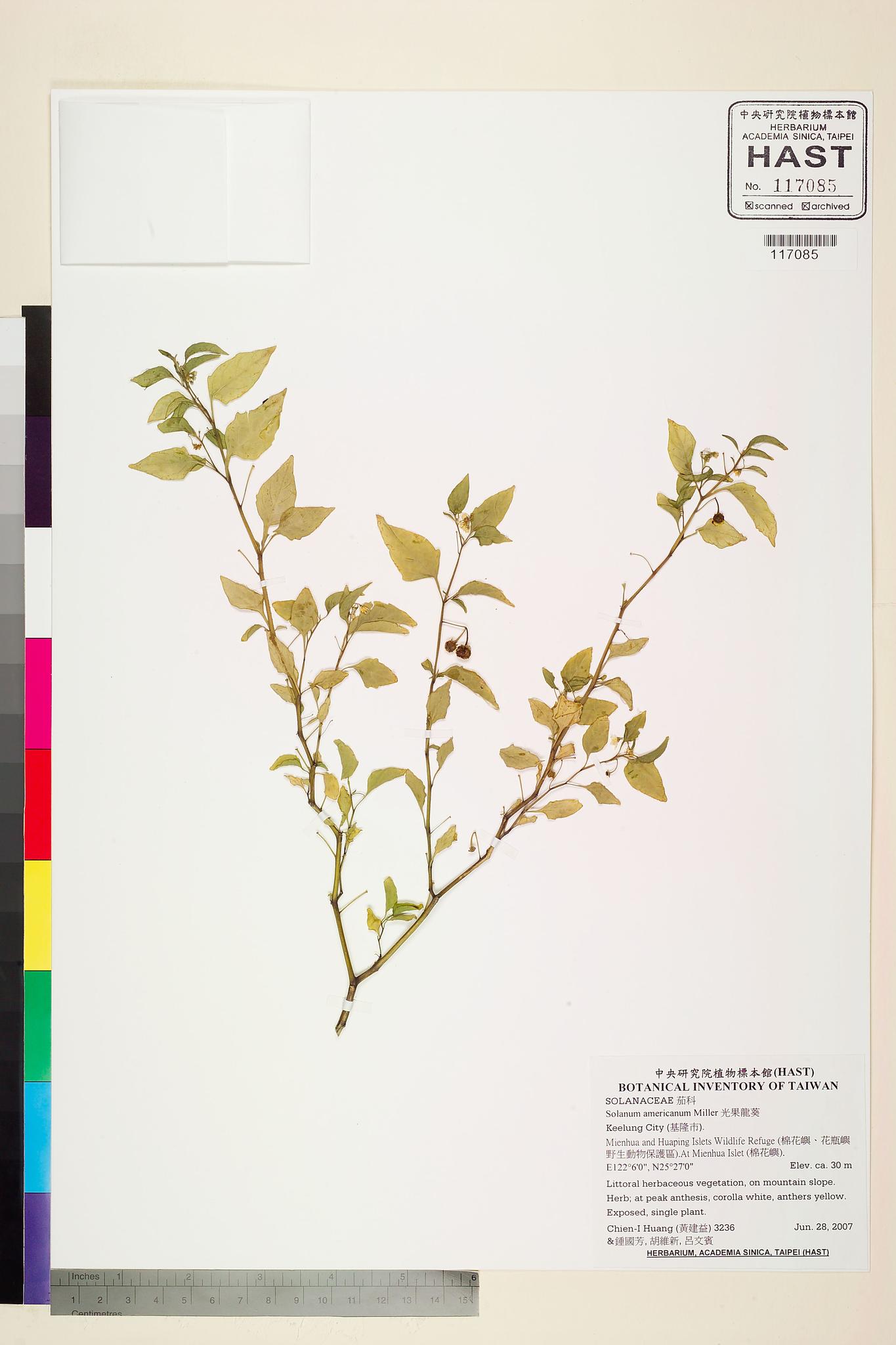 Sample image for viewer