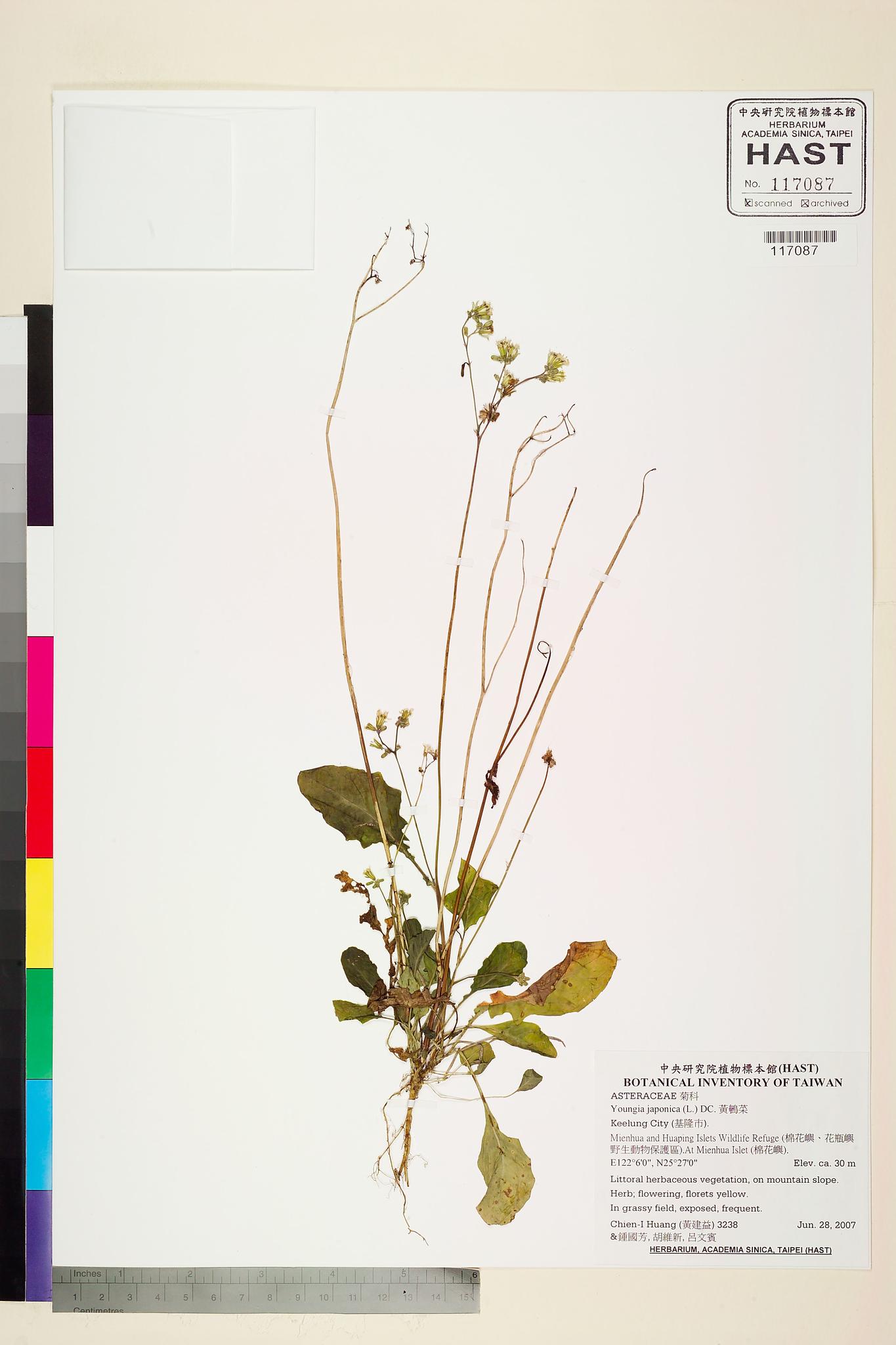 Sample image for viewer