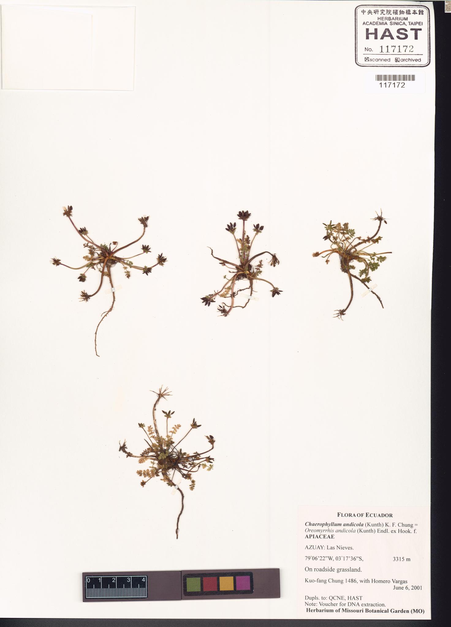 Specimen image
