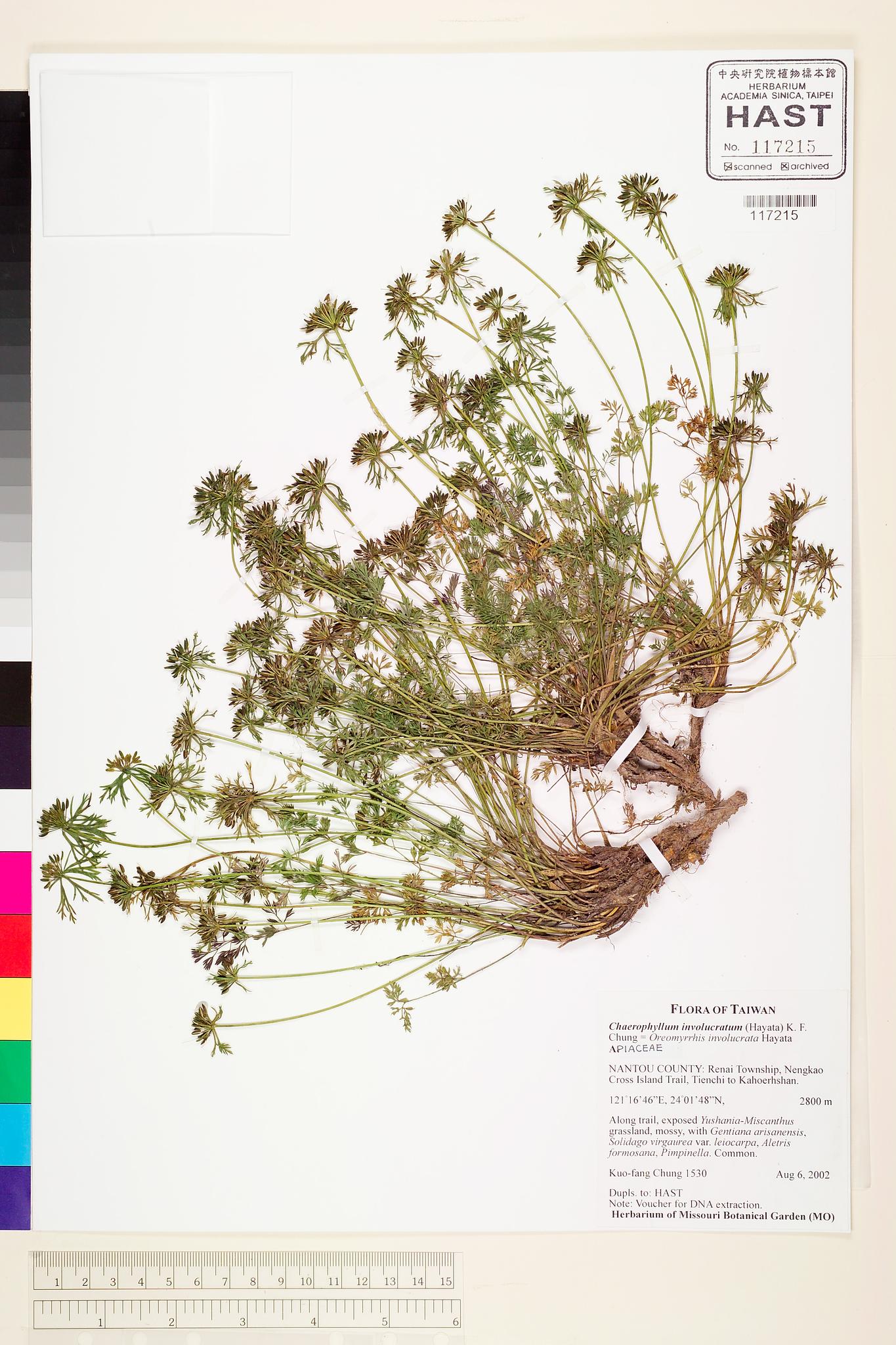 Sample image for viewer