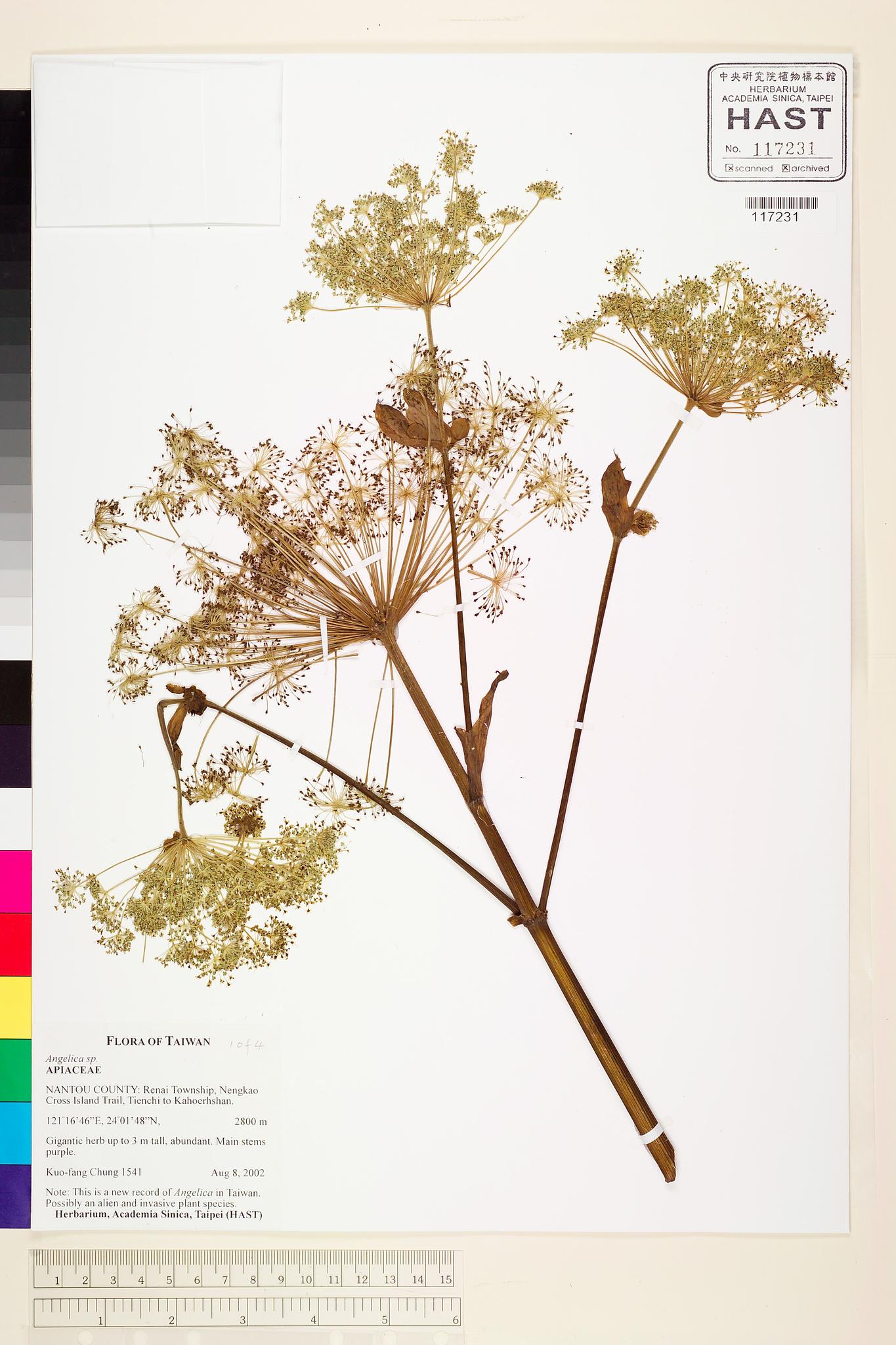 Specimen image
