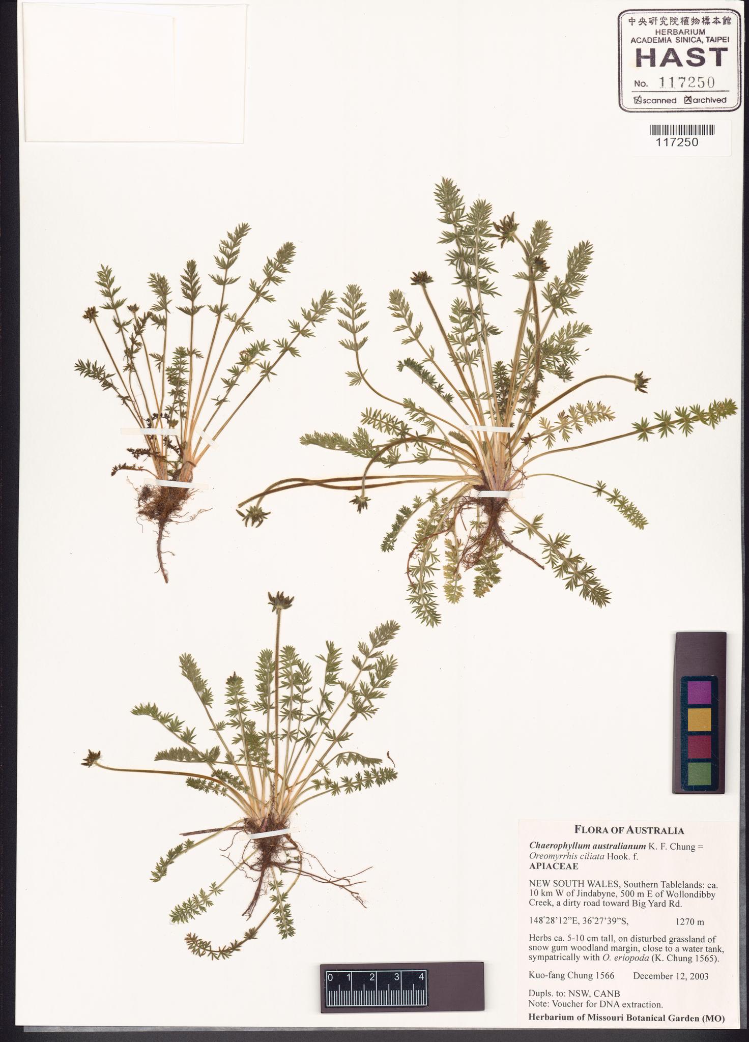 Sample image for viewer