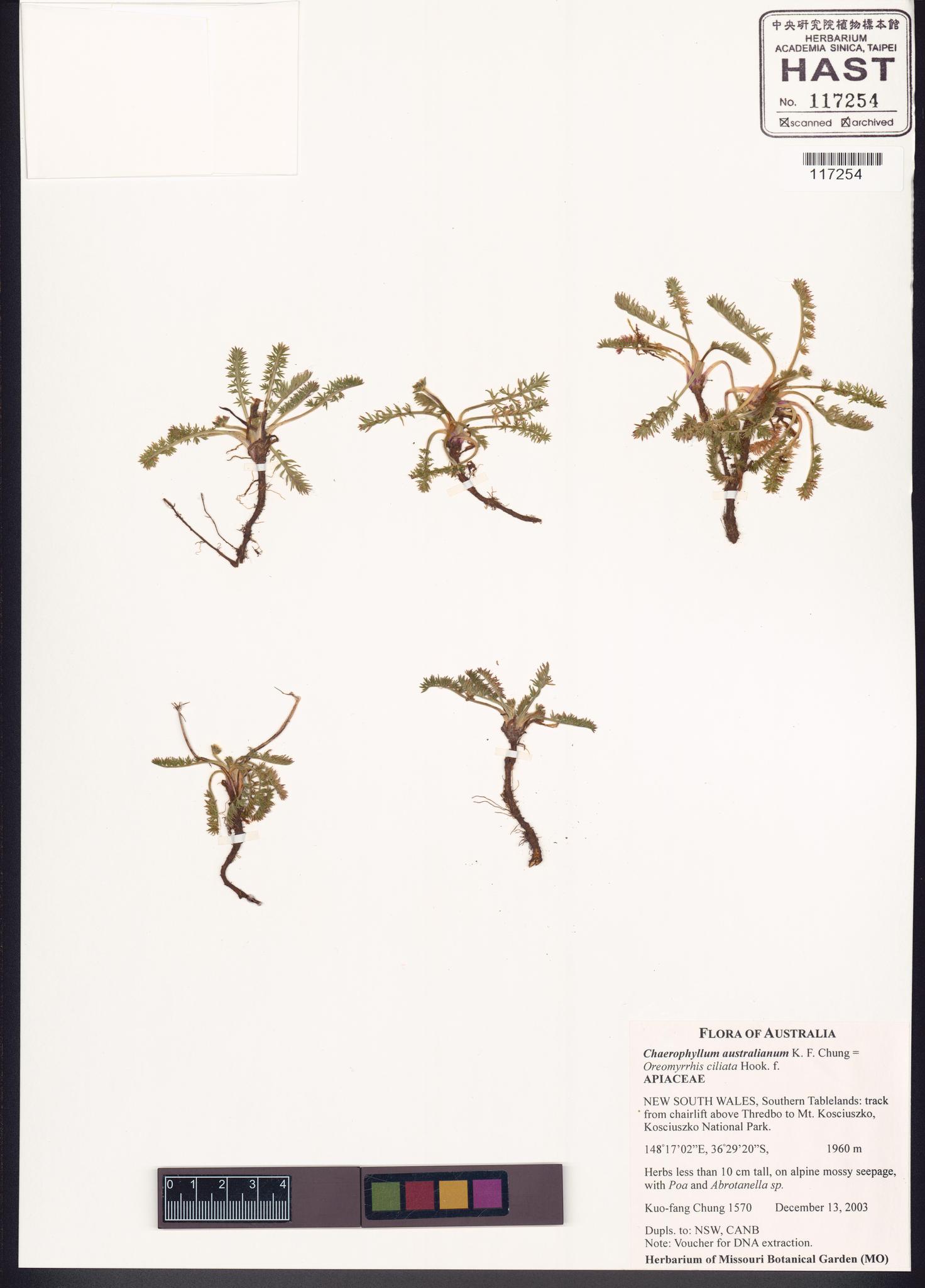 Sample image for viewer