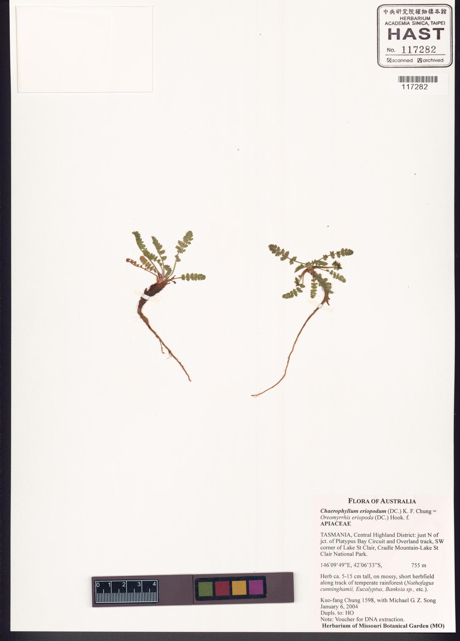 Sample image for viewer