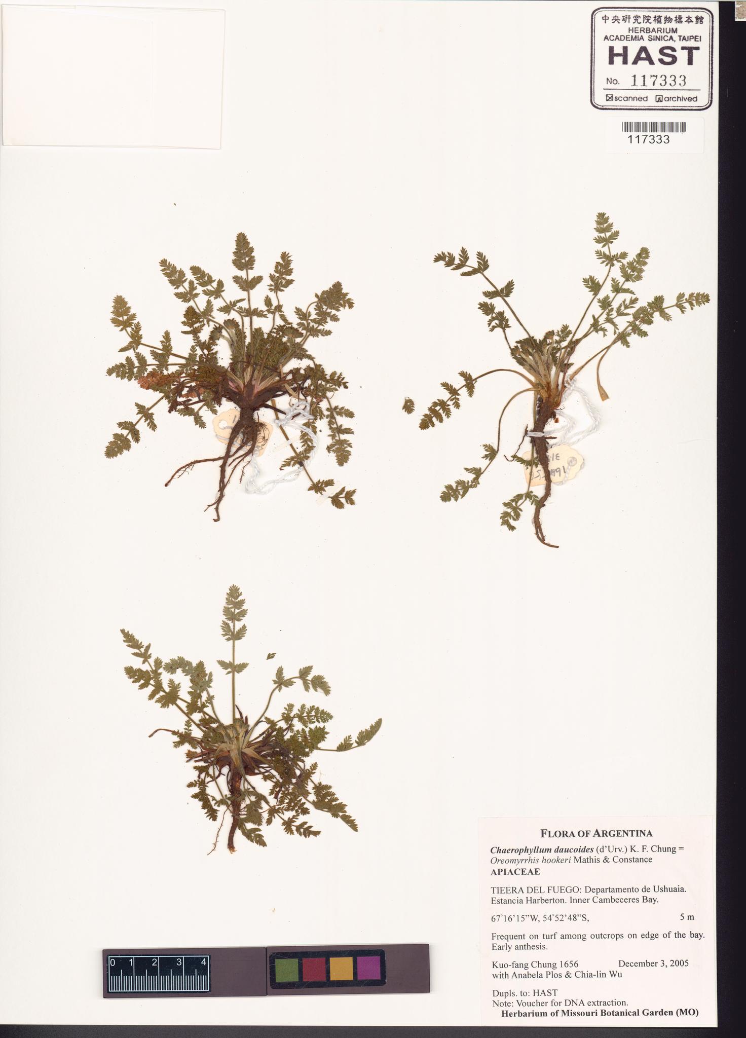 Sample image for viewer