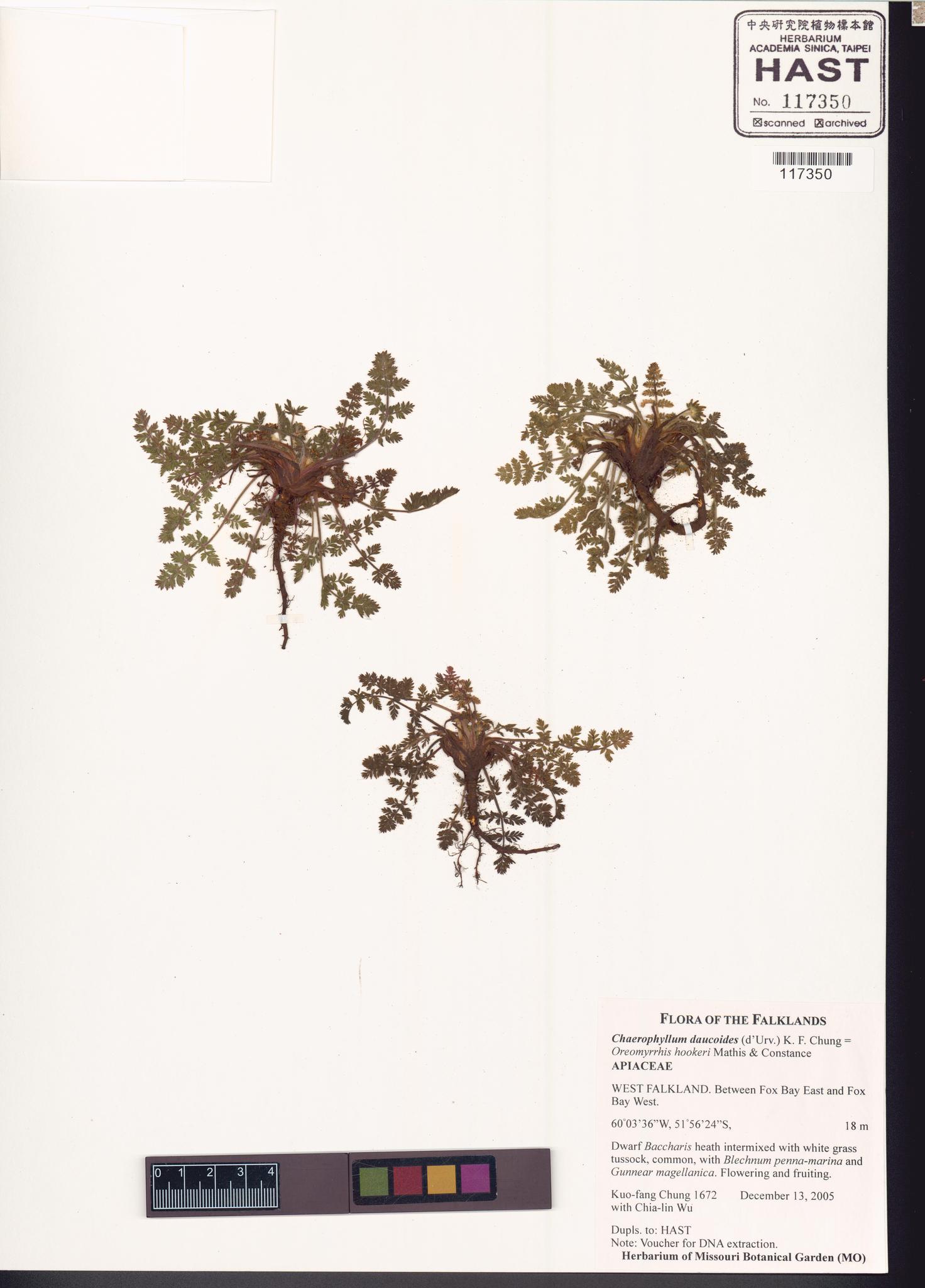 Sample image for viewer