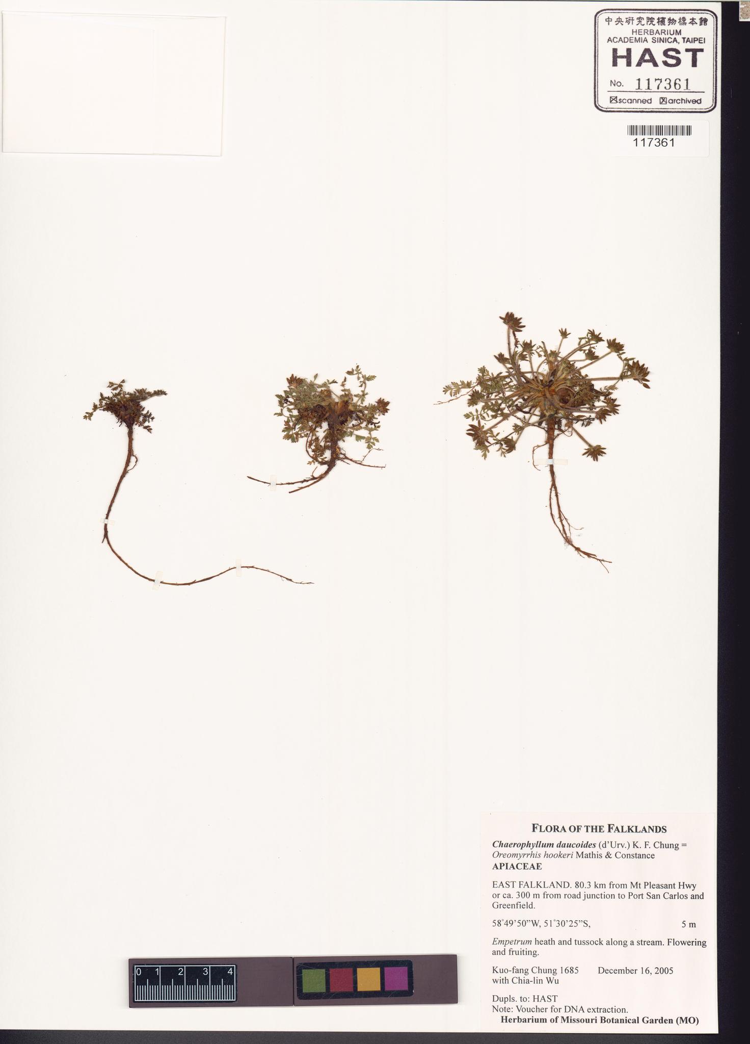 Sample image for viewer