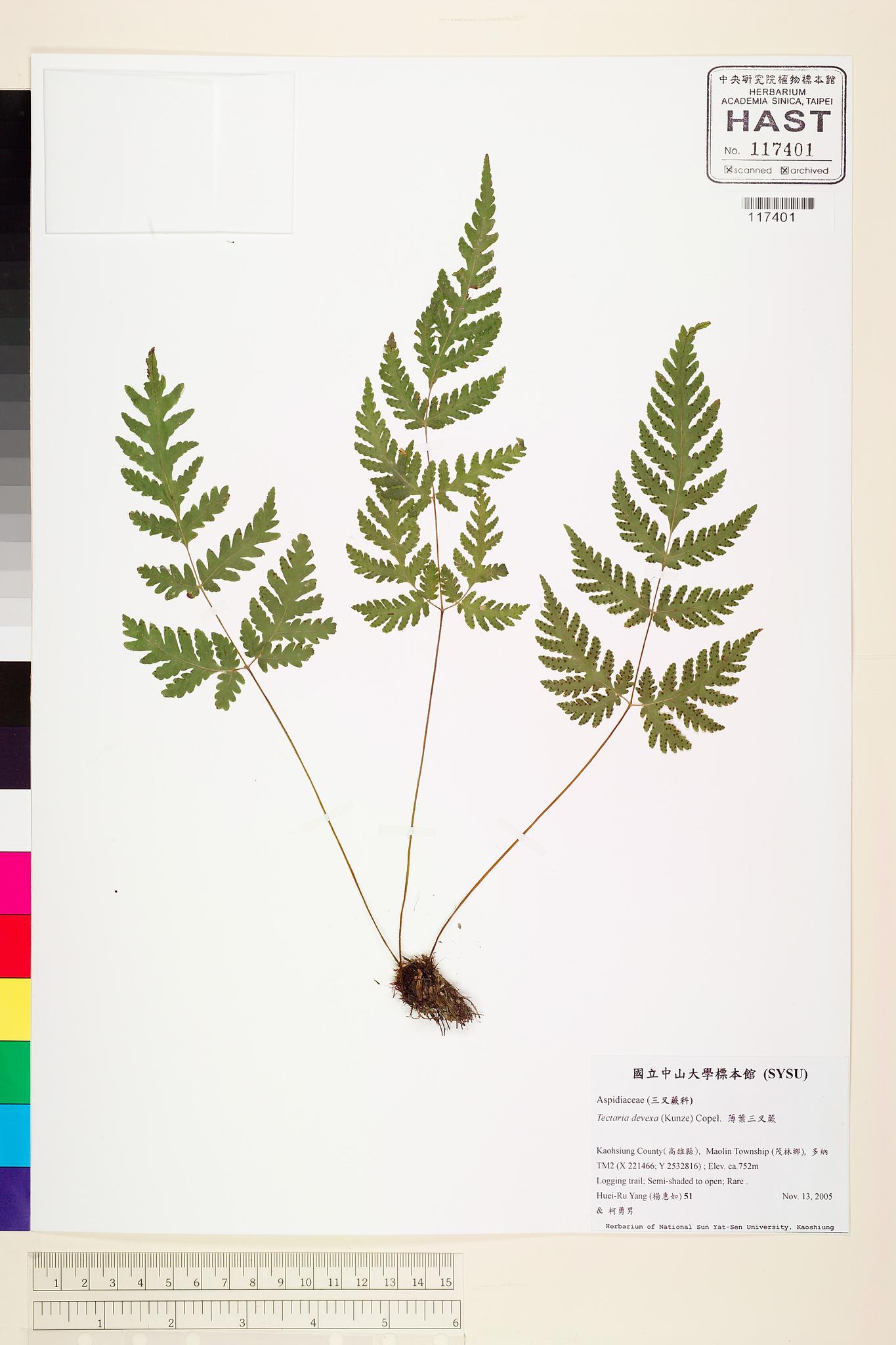 Sample image for viewer