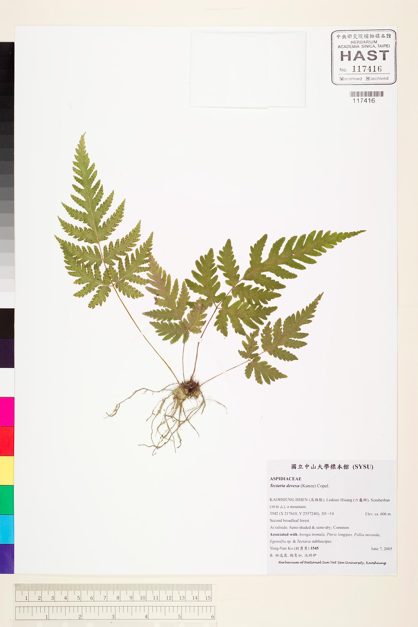 Sample image for viewer