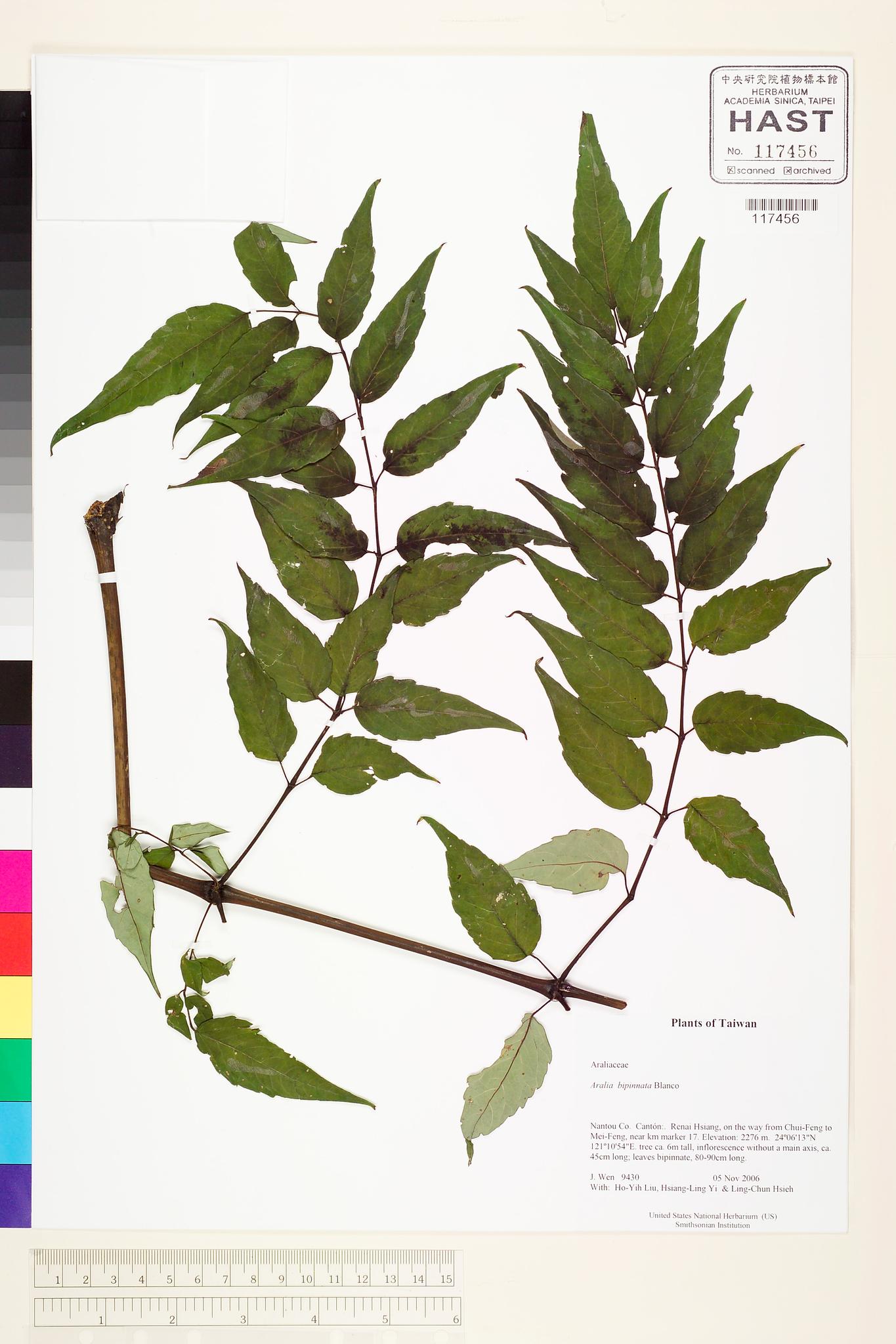 Sample image for viewer