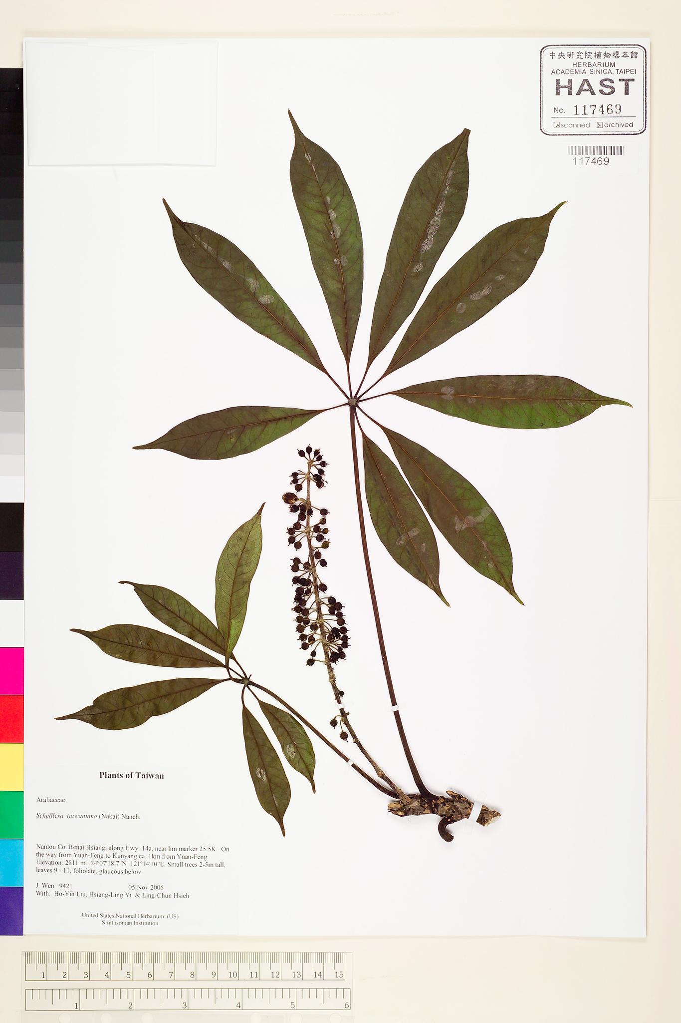 Sample image for viewer