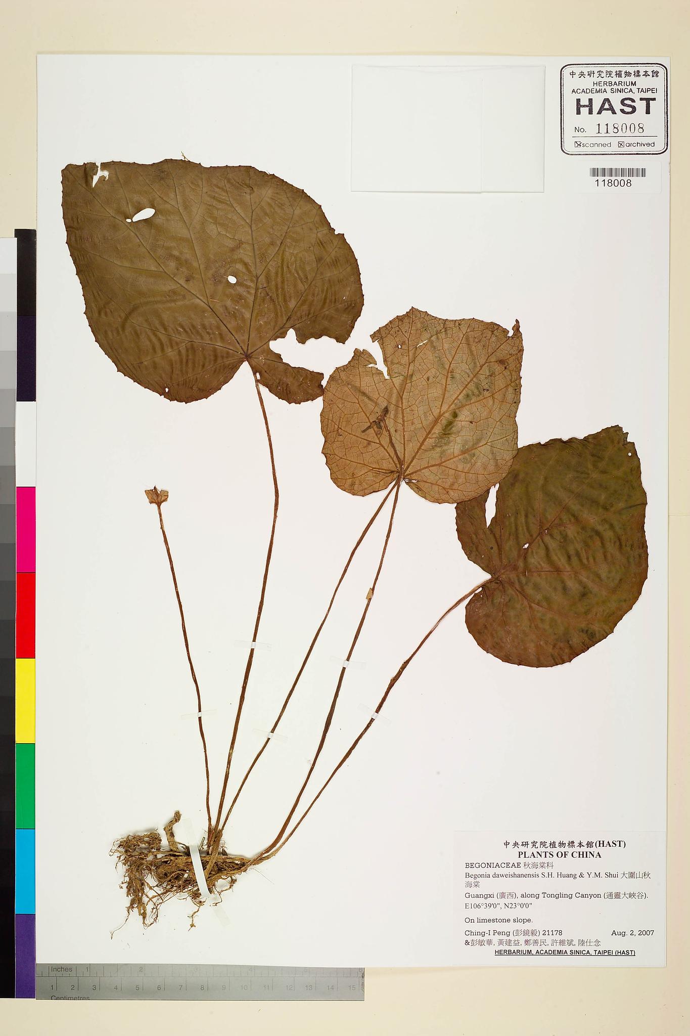 Sample image for viewer