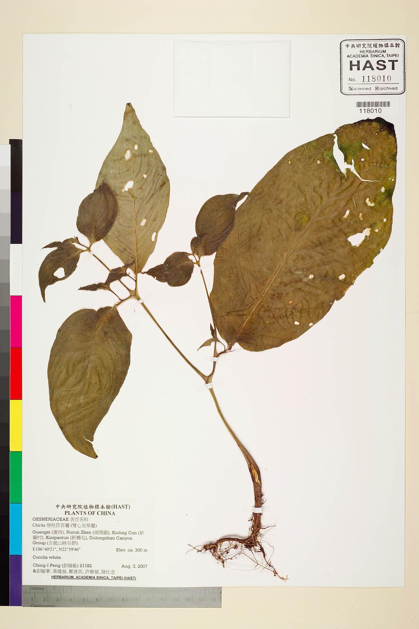 Sample image for viewer