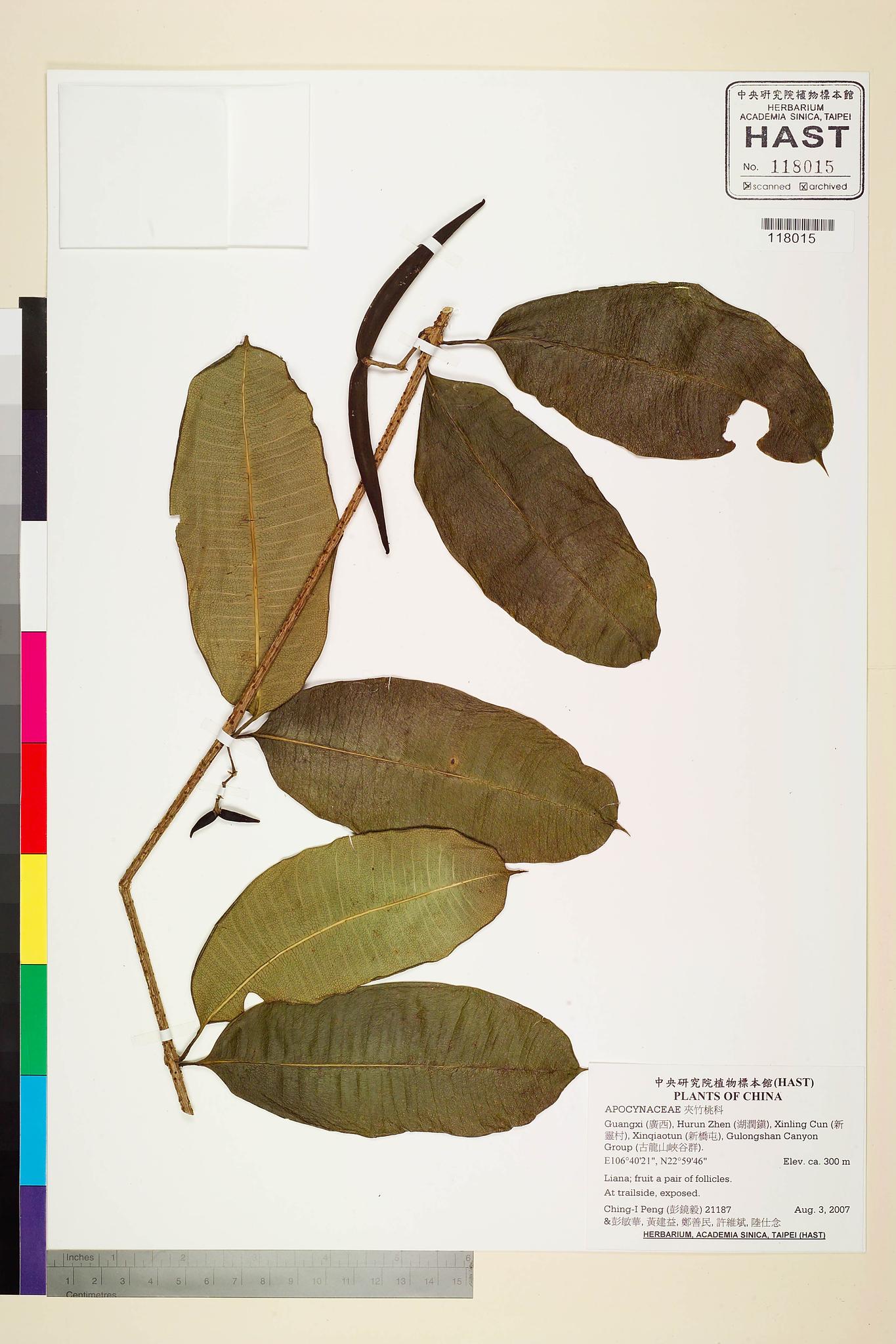 Sample image for viewer