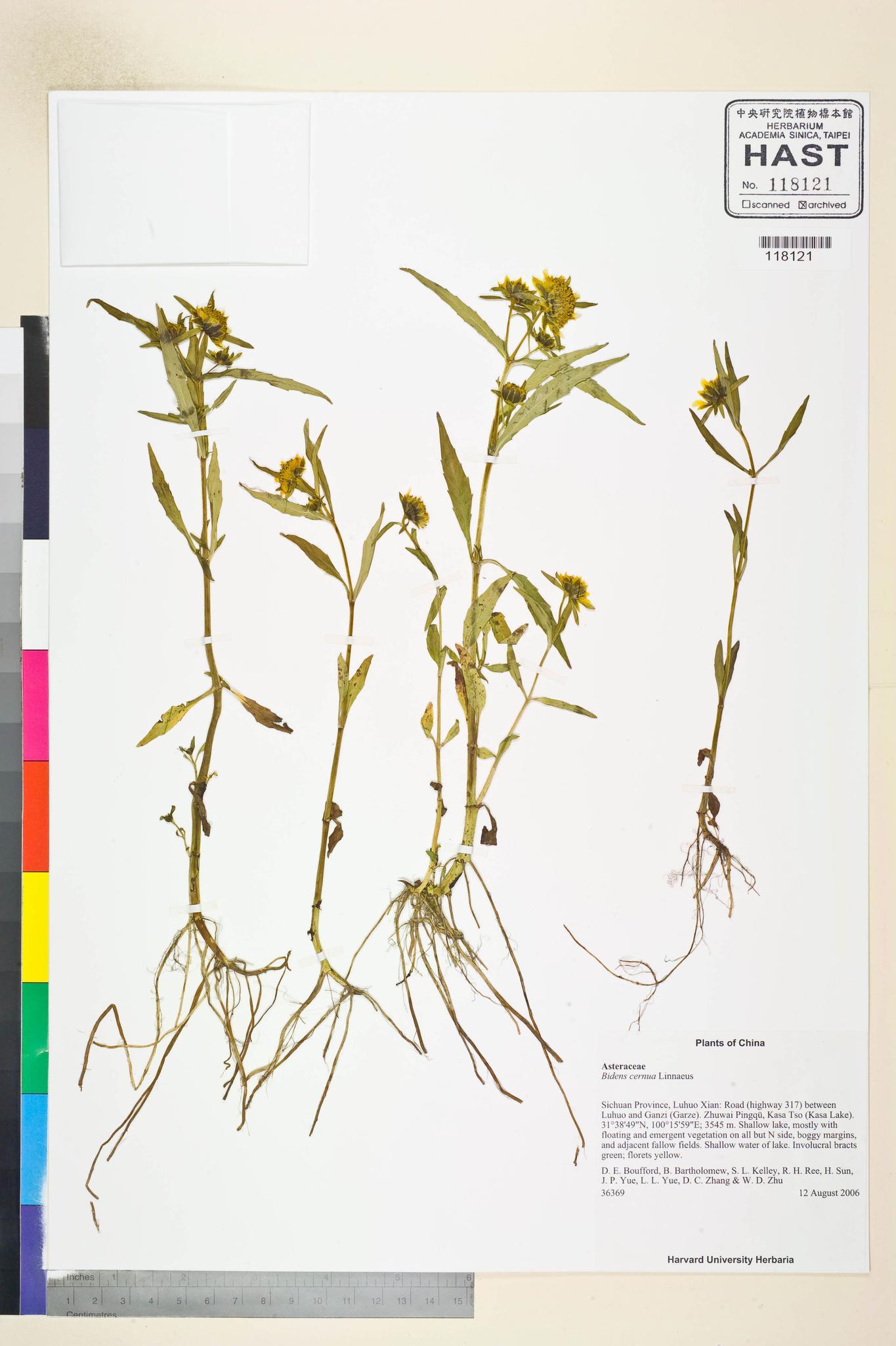 Sample image for viewer