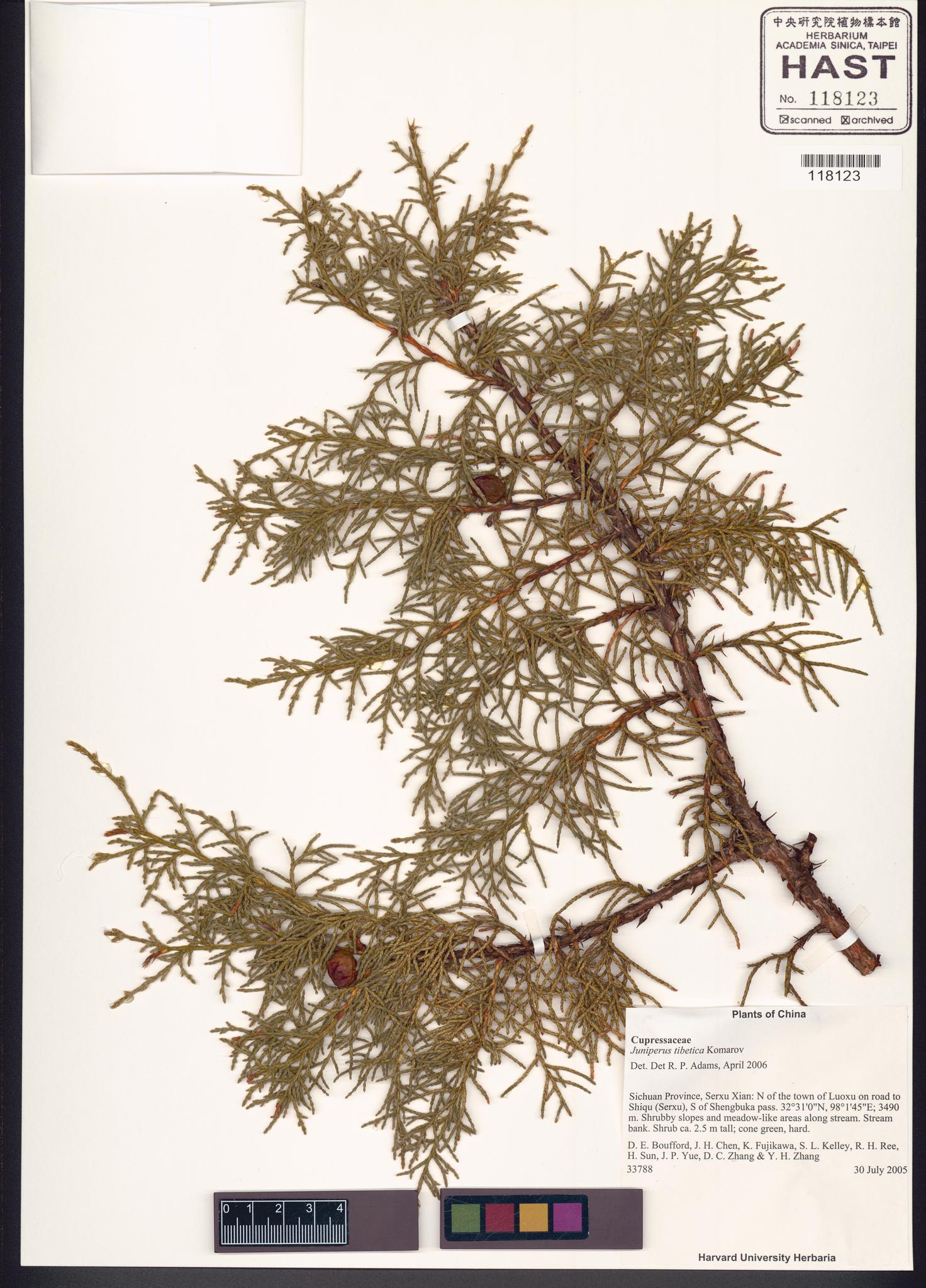 Sample image for viewer