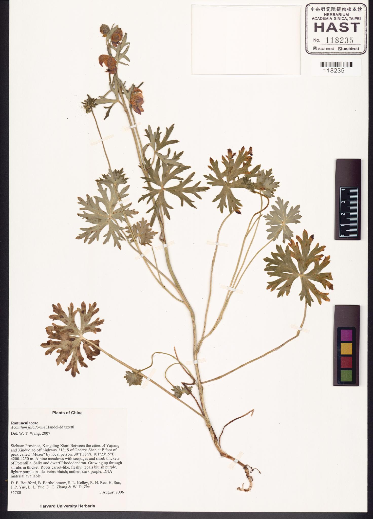 Sample image for viewer