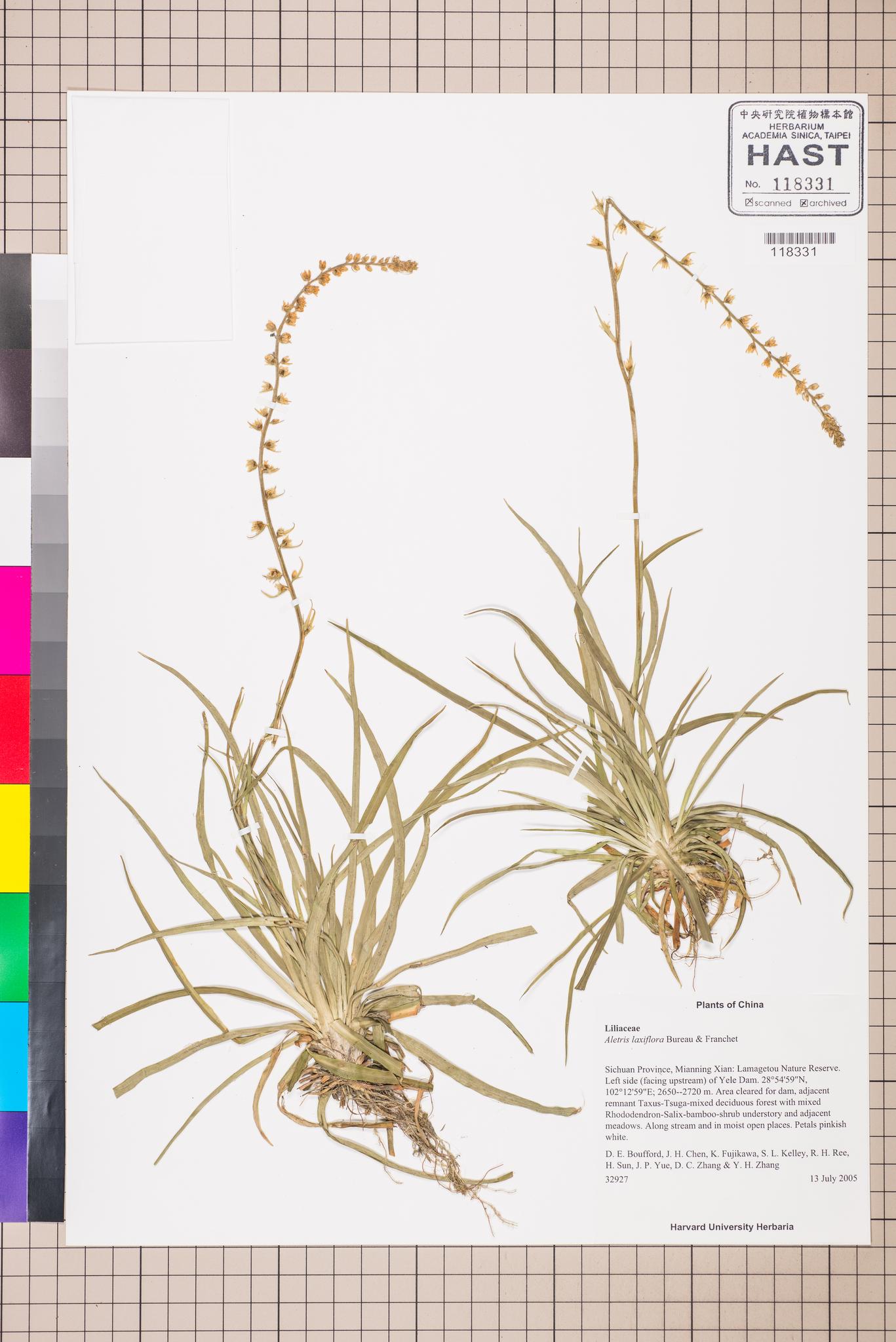 Sample image for viewer