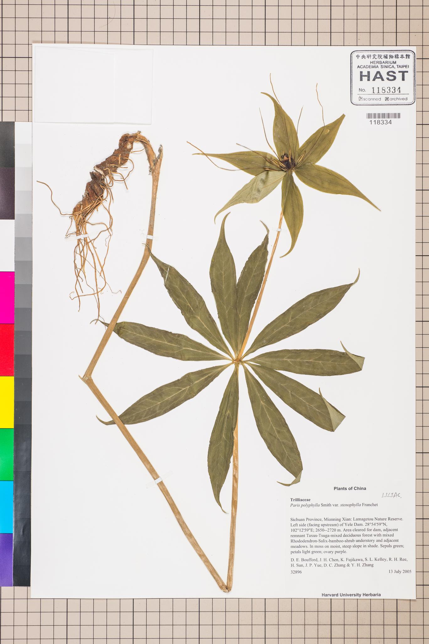 Sample image for viewer