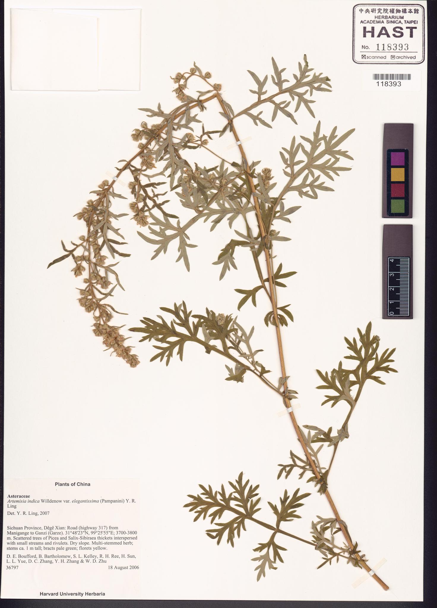 Sample image for viewer