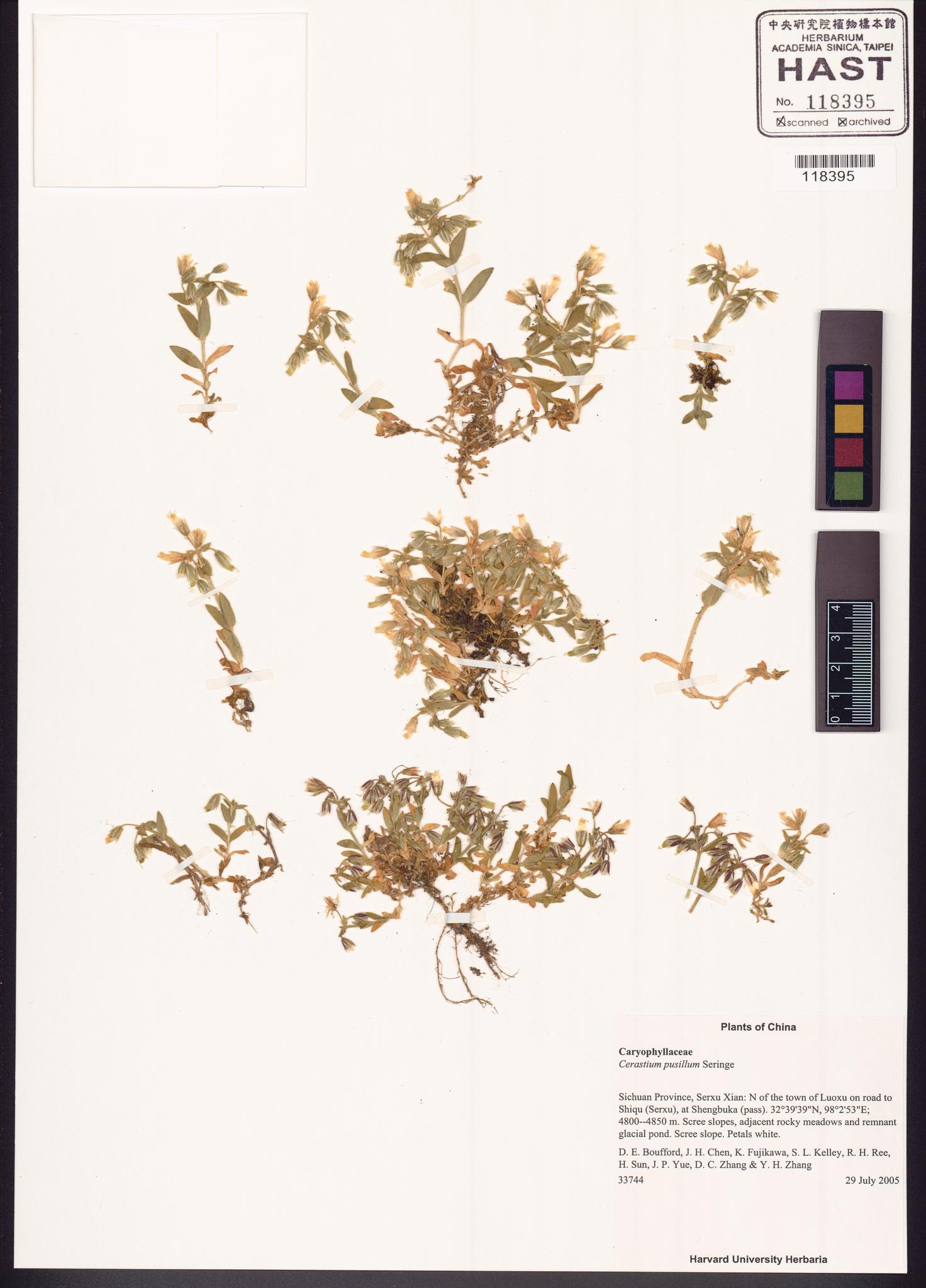 Sample image for viewer