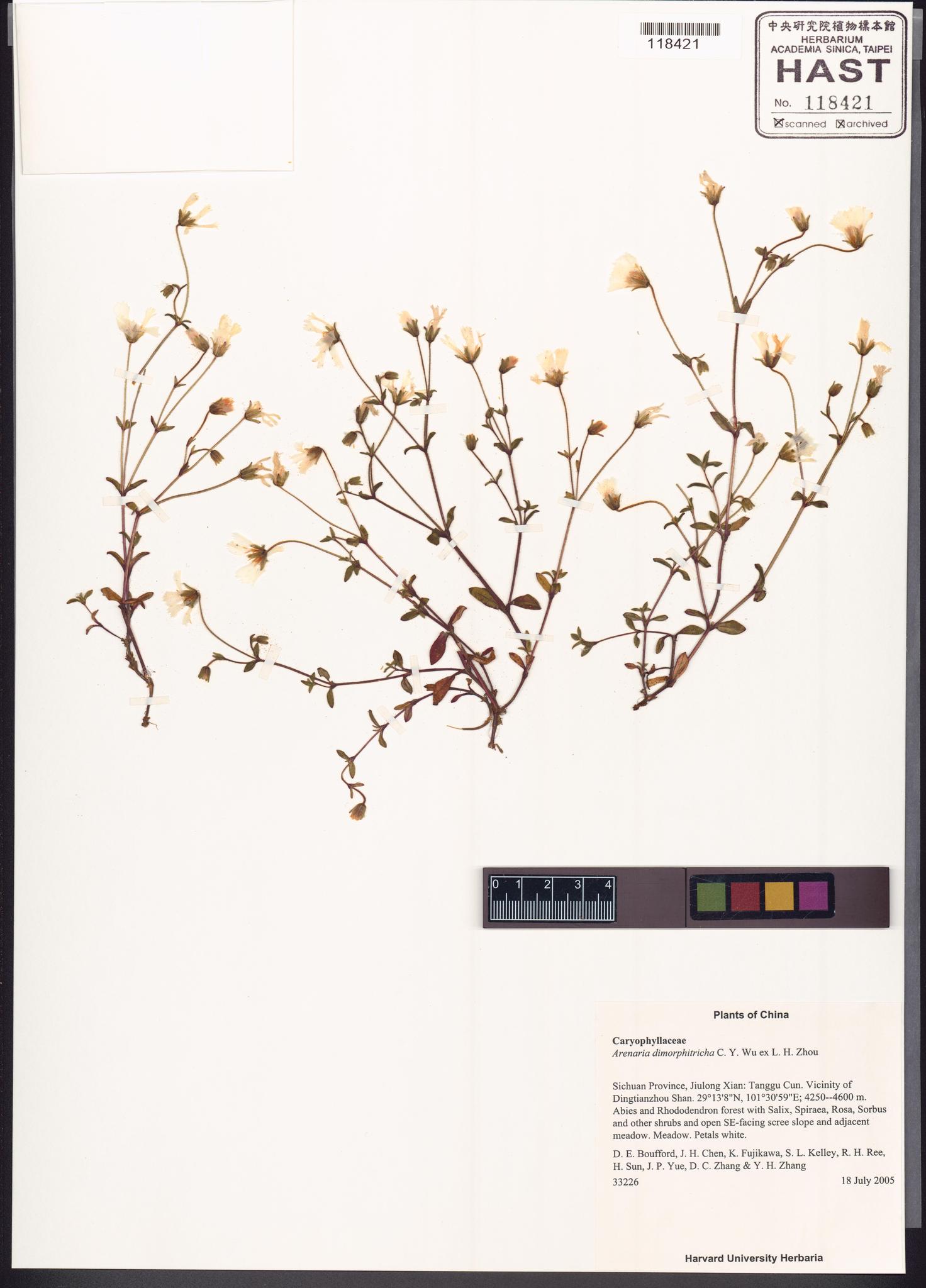 Sample image for viewer