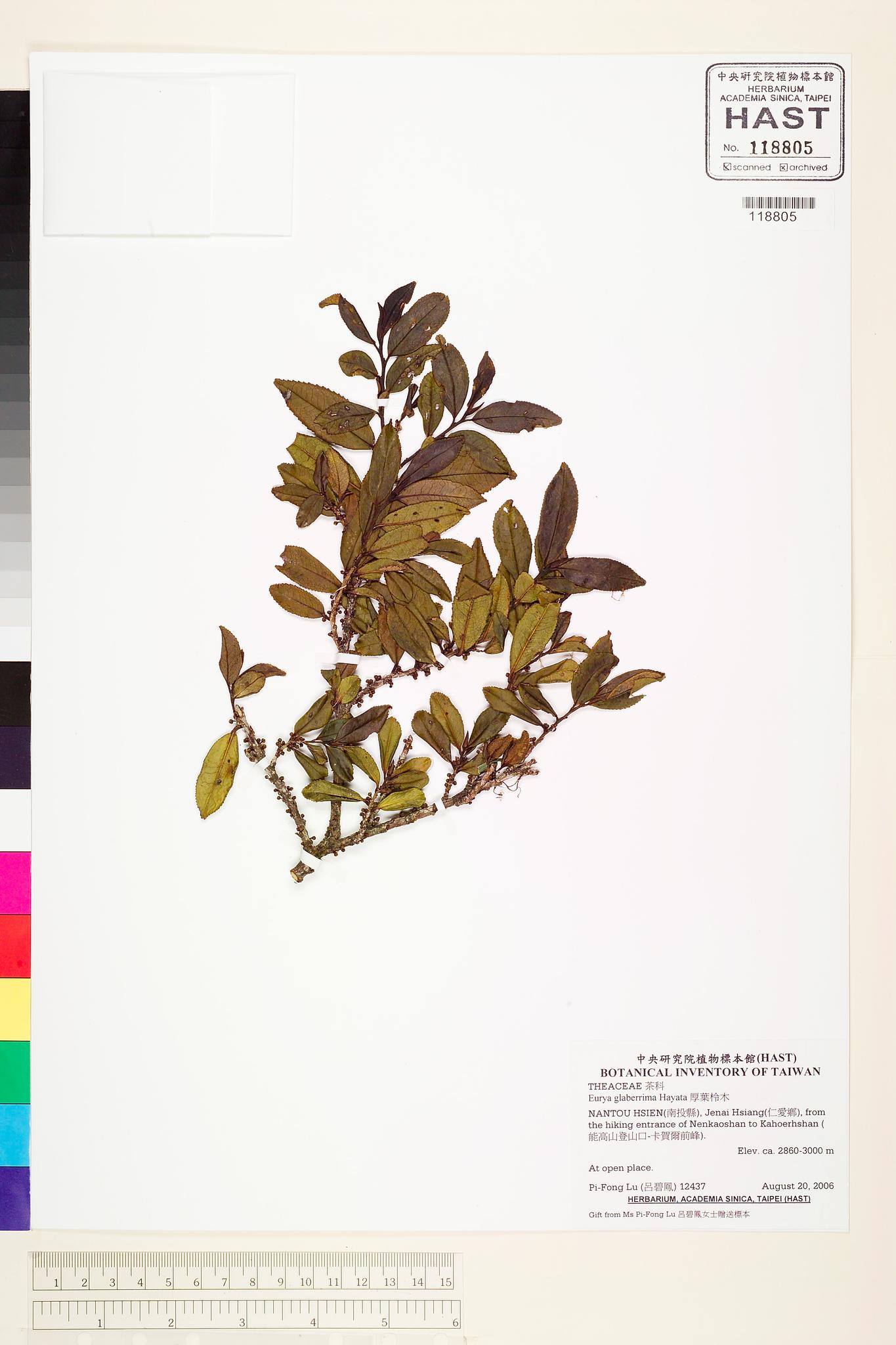 Sample image for viewer