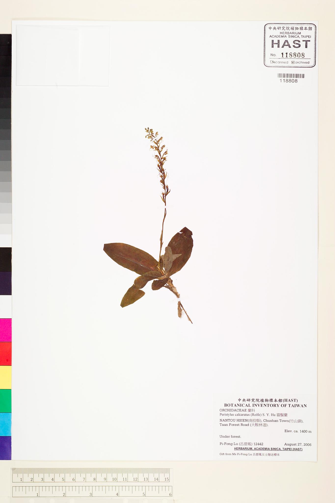 Sample image for viewer