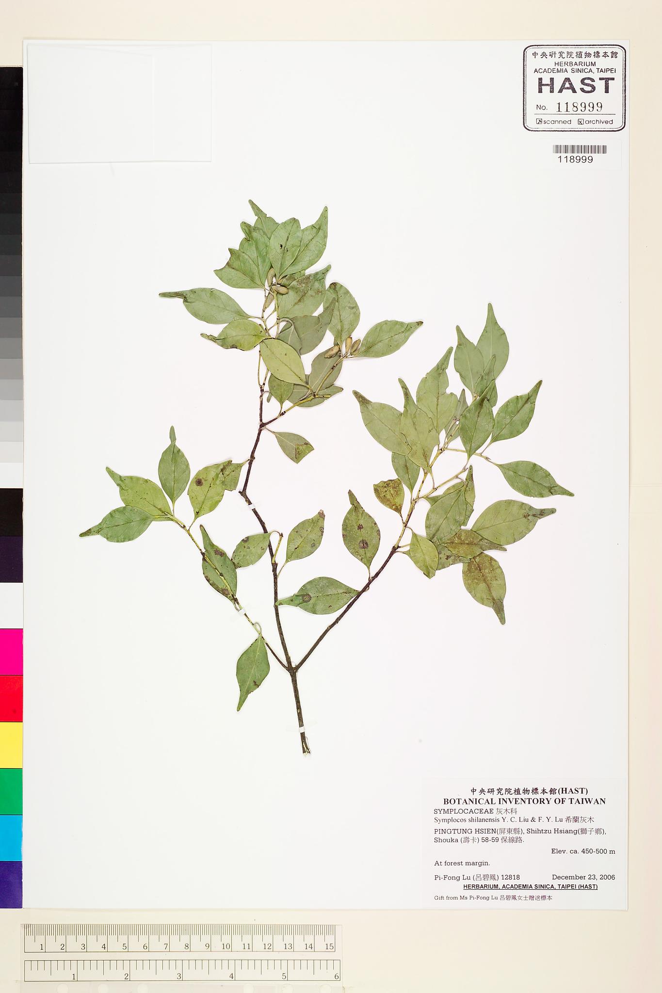 Sample image for viewer