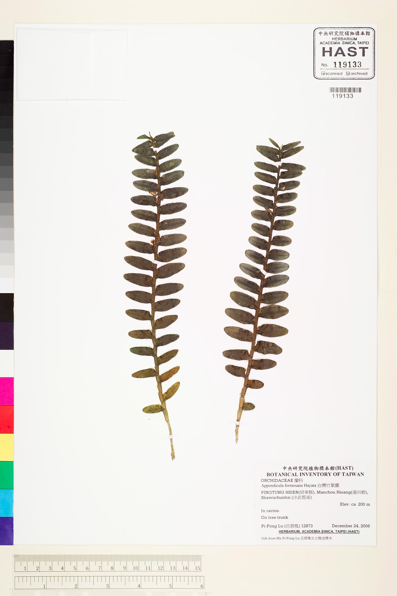 Sample image for viewer