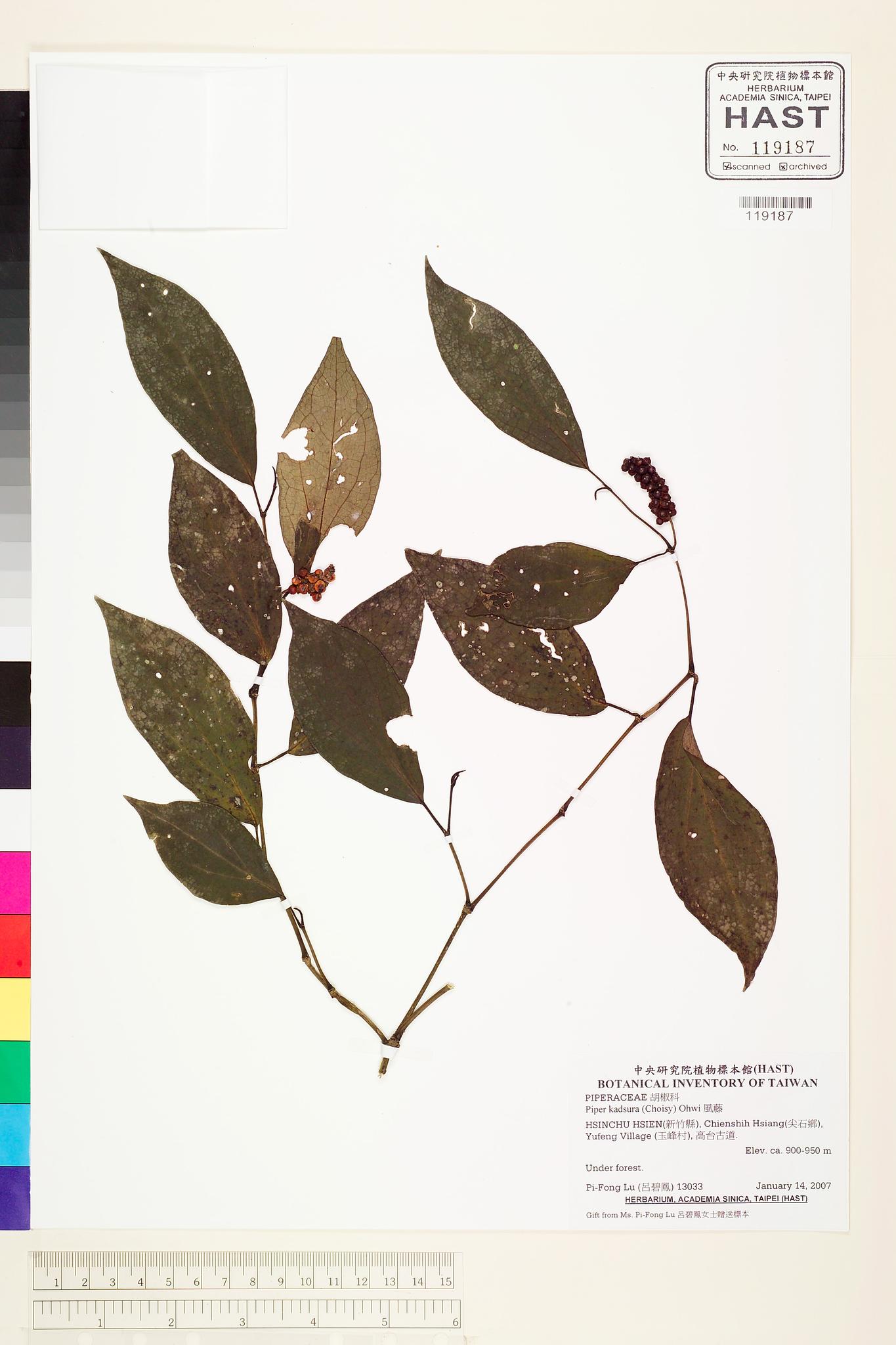 Sample image for viewer