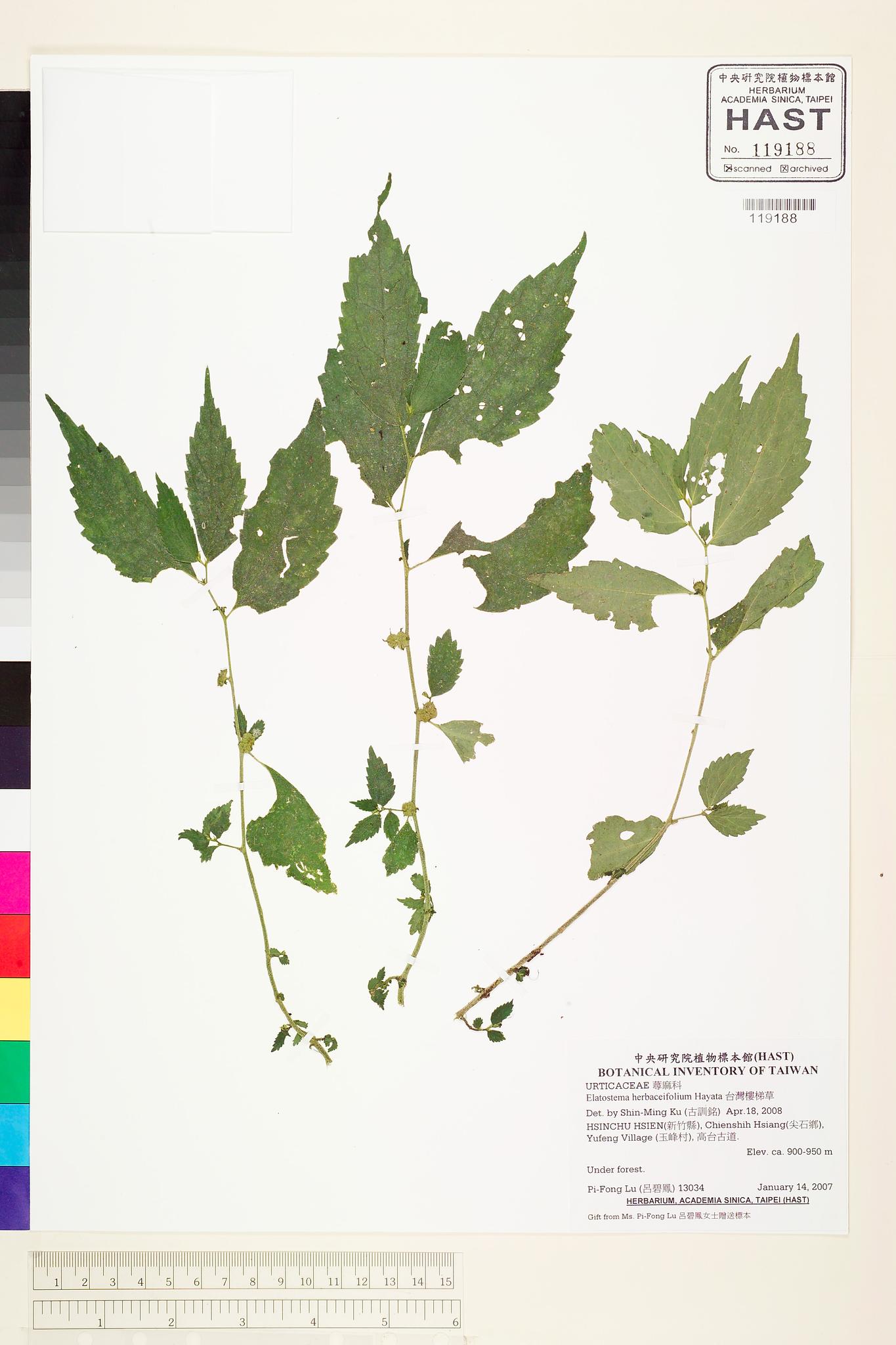 Sample image for viewer