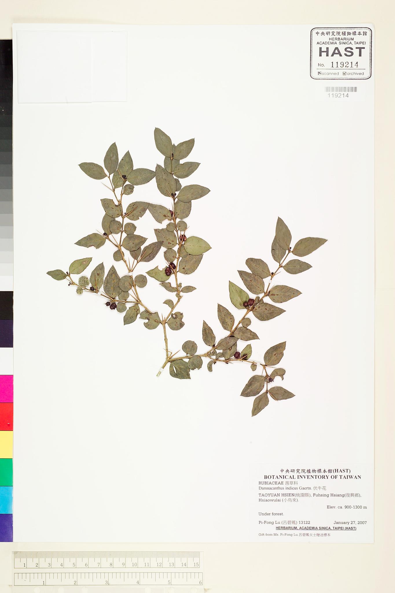 Sample image for viewer