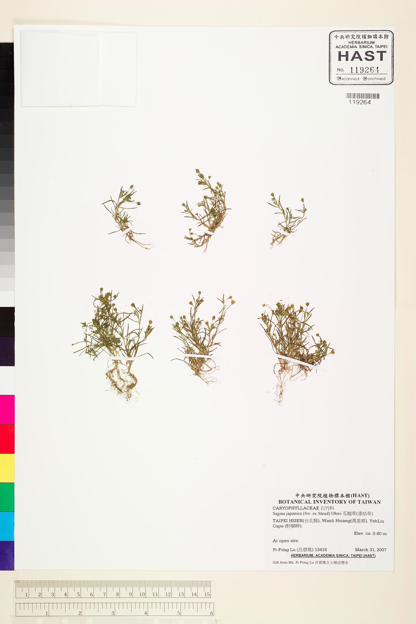 Sample image for viewer